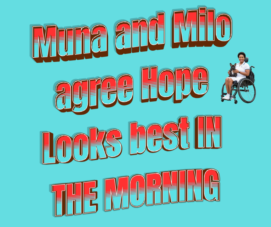 12.png