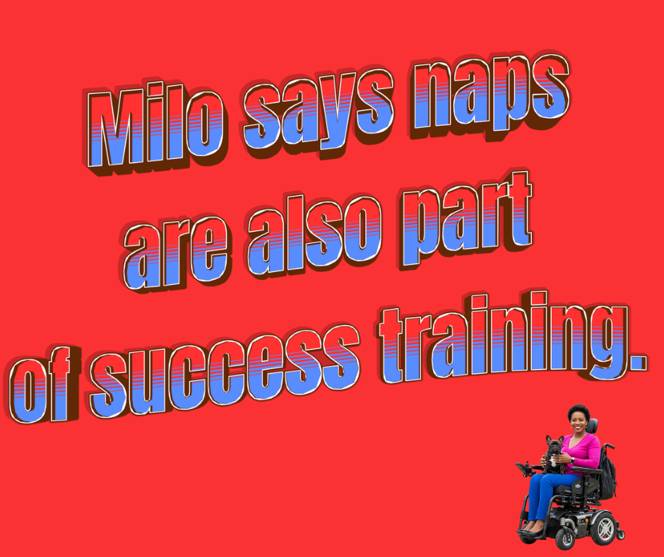 14.png