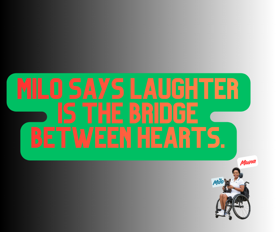 19.png