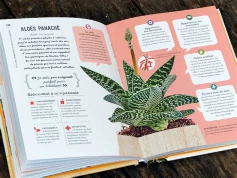 Vos plqntes interieures Verso.jfif