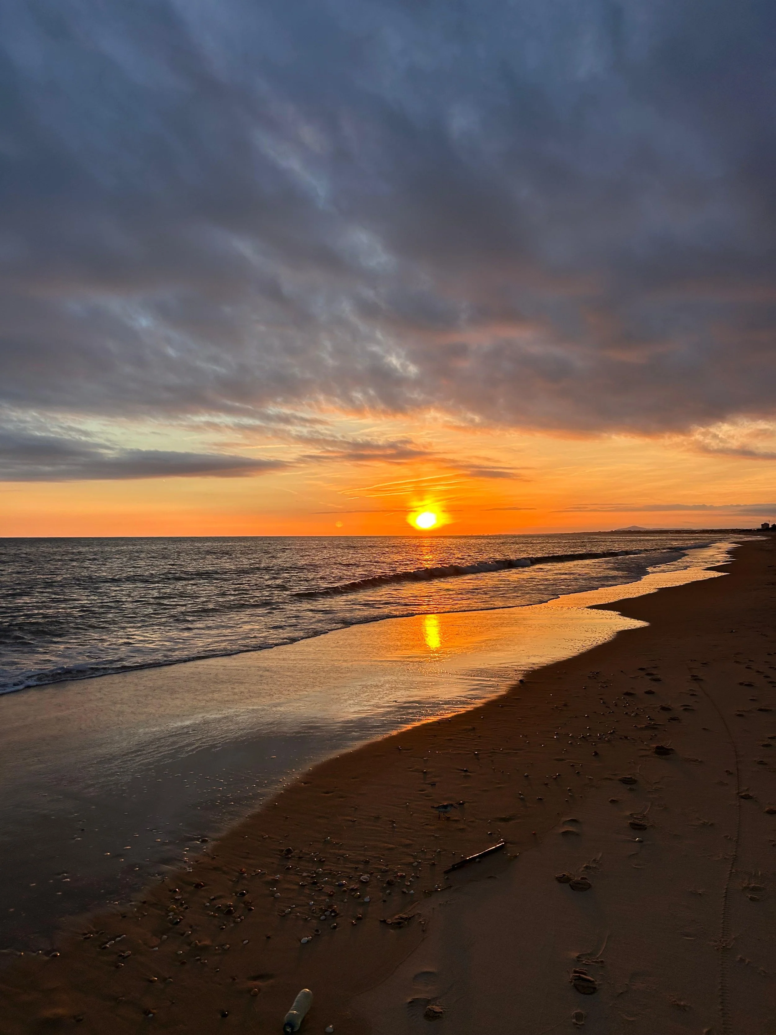 WhatsApp Image 2026-01-09 at 20.29.11 (4).jpeg