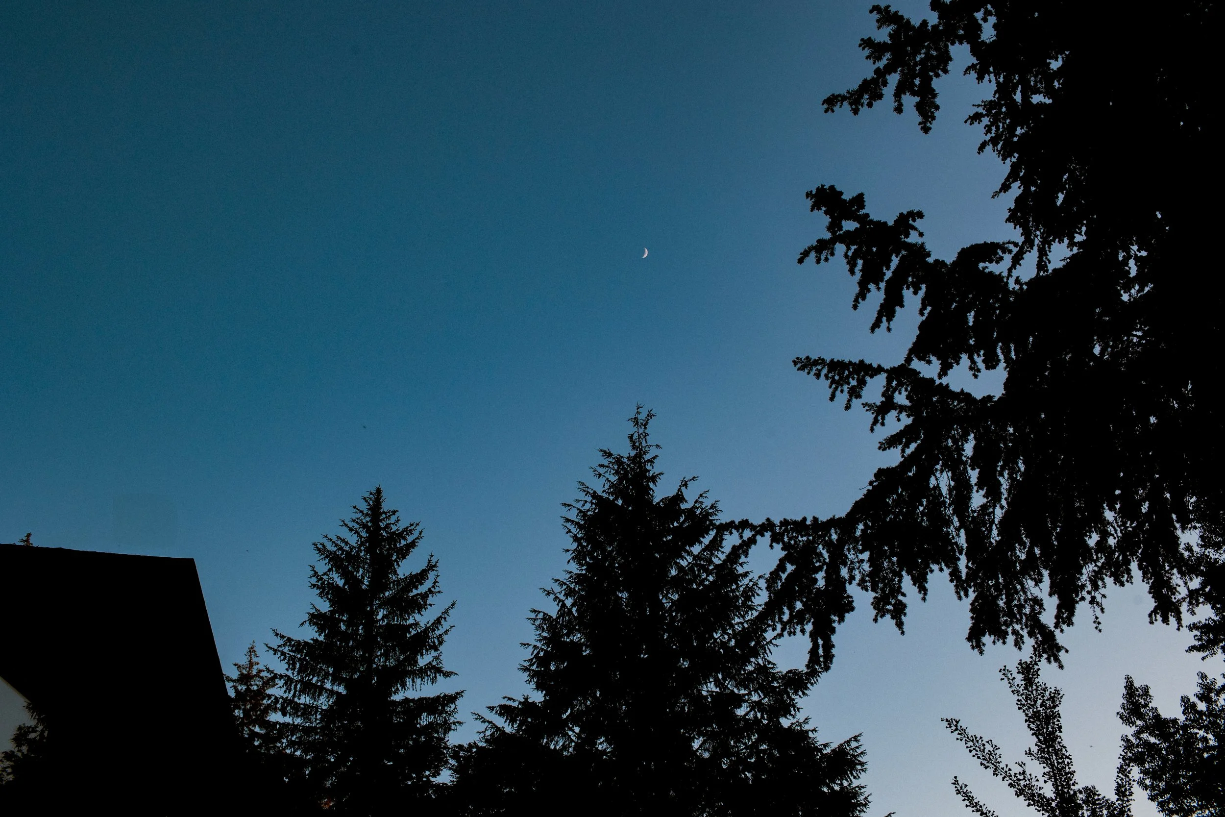 RH_Culinary_Yoga_Retreat-20250531-201.jpg