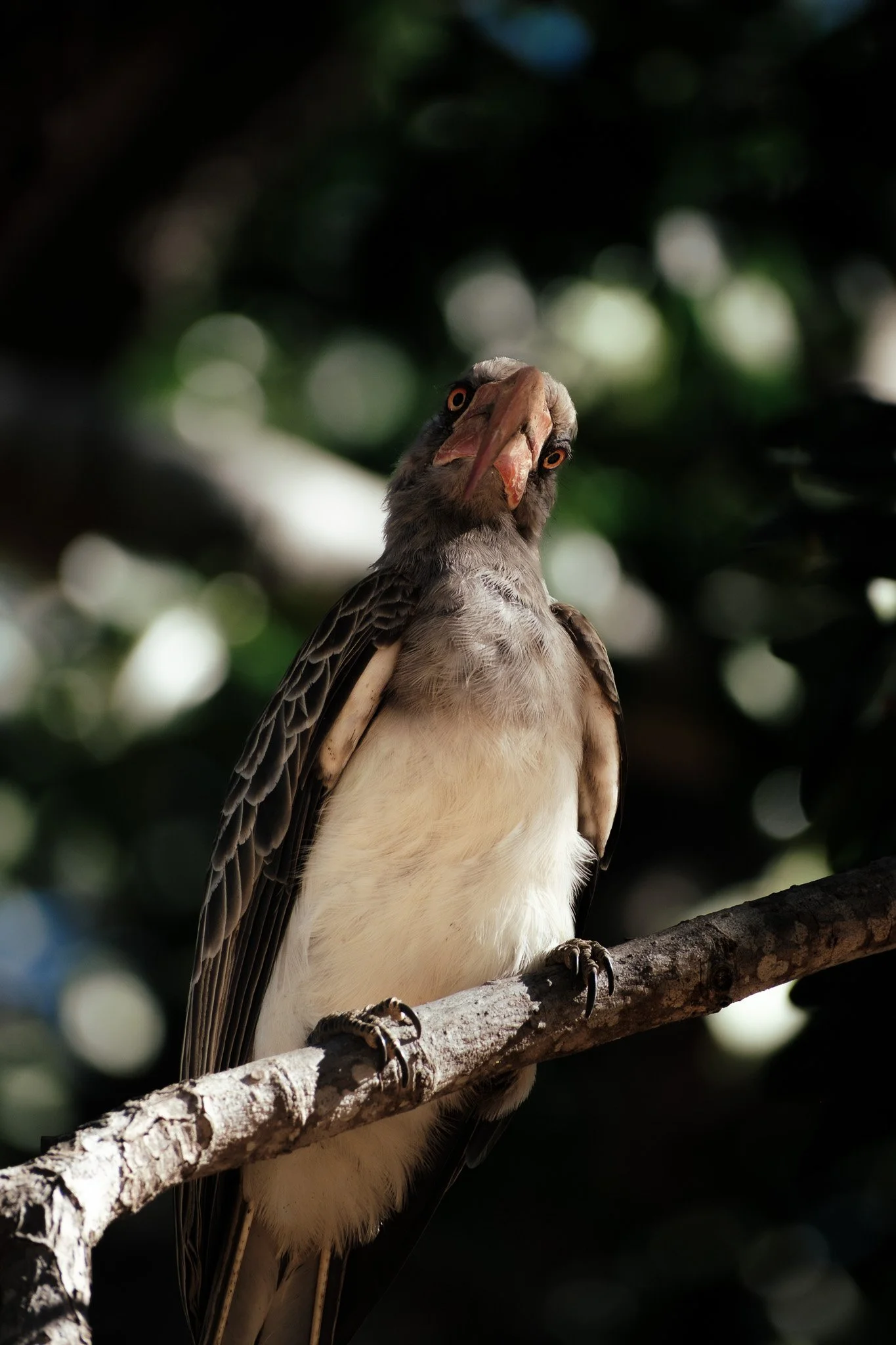 DSCF2551.jpg