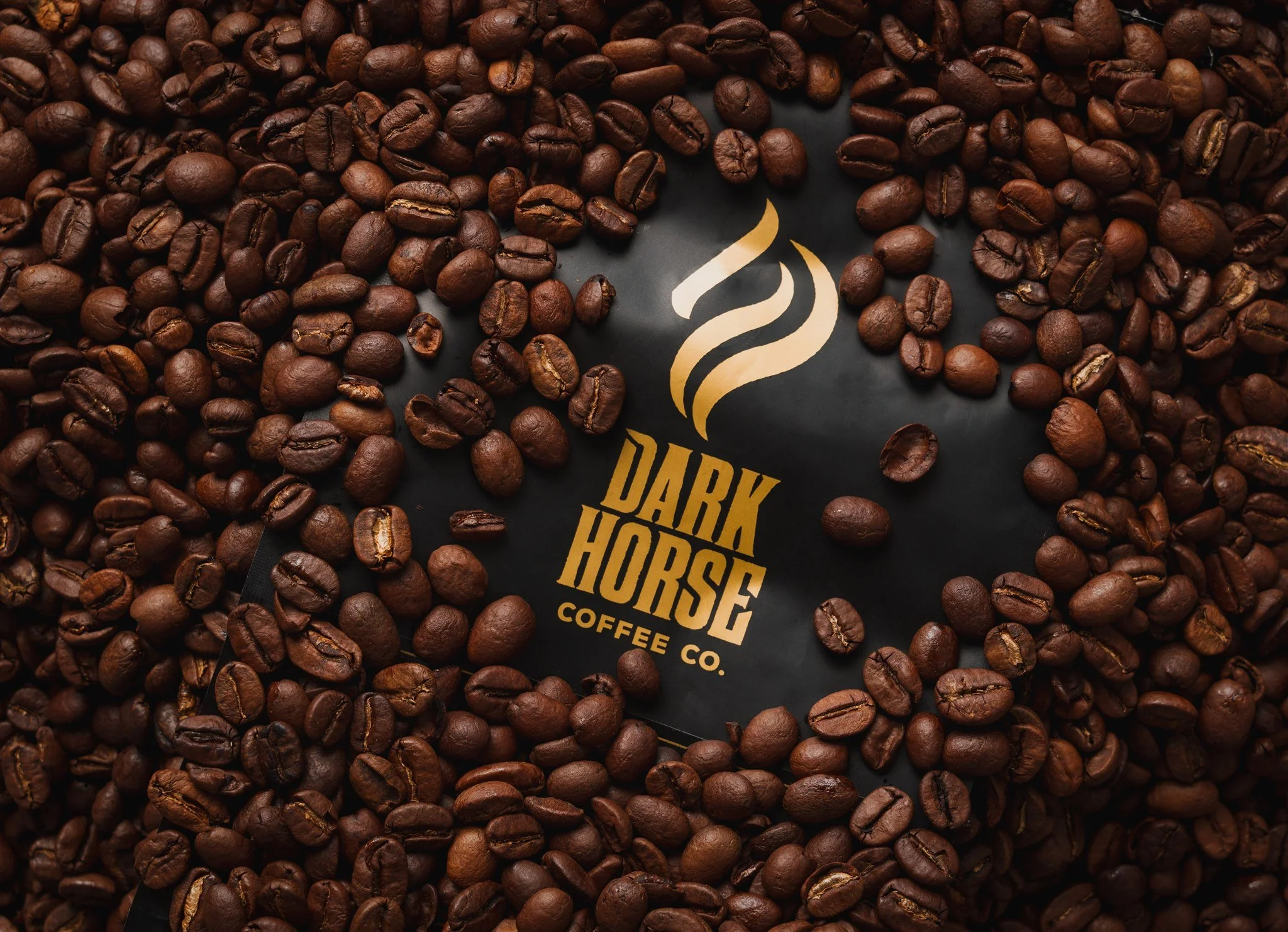 Dark Horse _NOV23_Hi Res-50.jpg