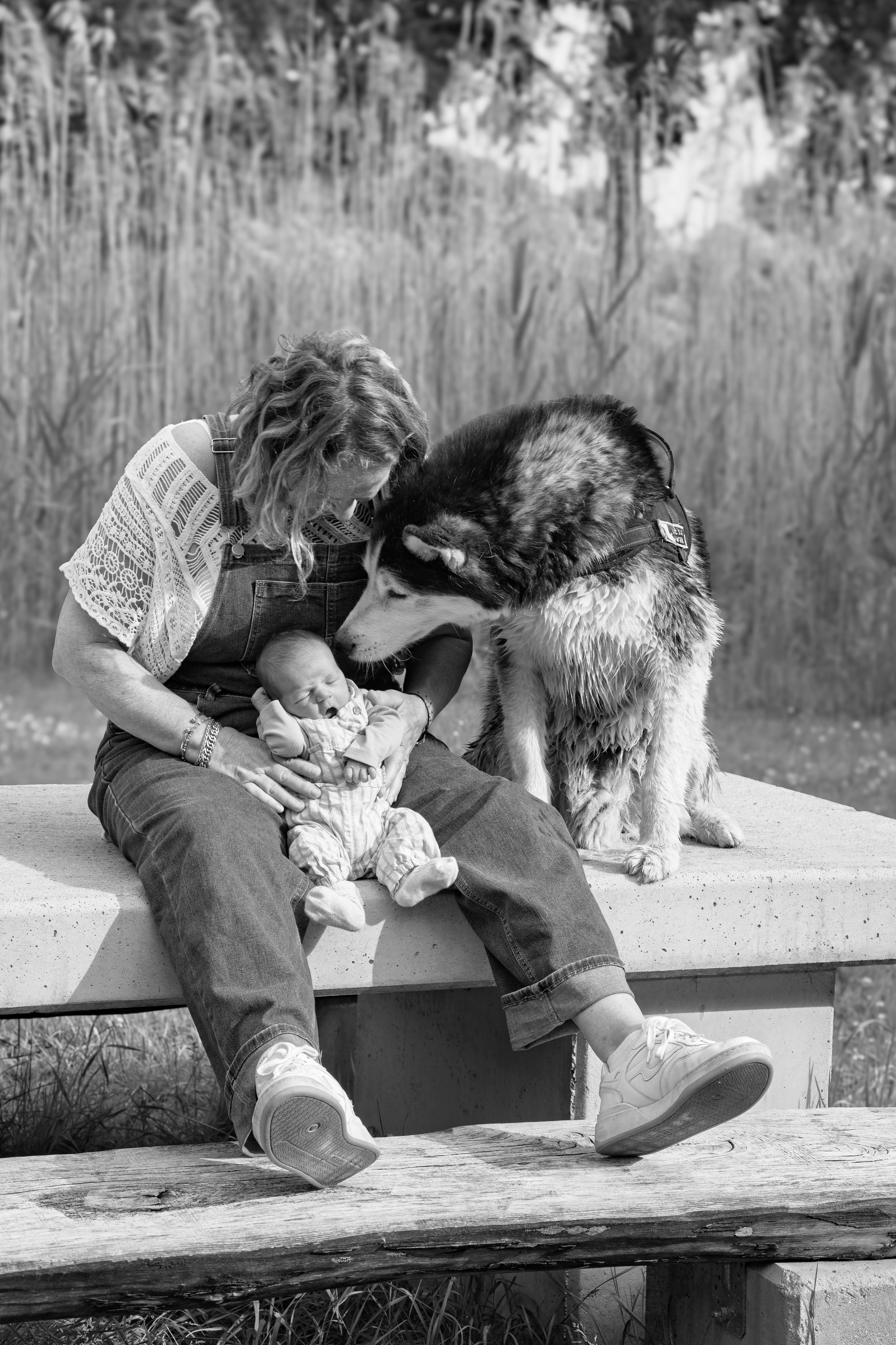 A woman sitting outdoors on a concrete bench holding a baby with a Husky dog nearby. The woman and dog are touching noses in a gentle moment. Background shows tall grass and trees.