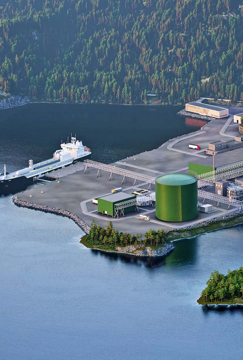 Green Ammonia Terminal