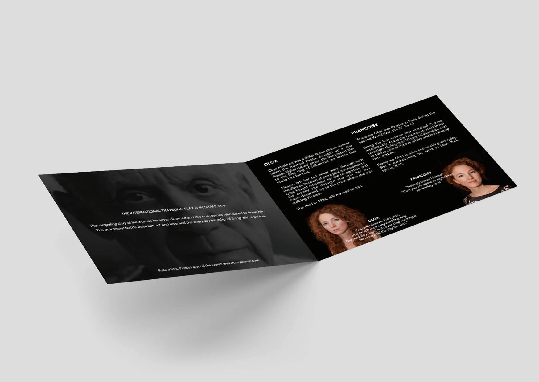 WebsiteBeeldLiggend picasso102.jpg