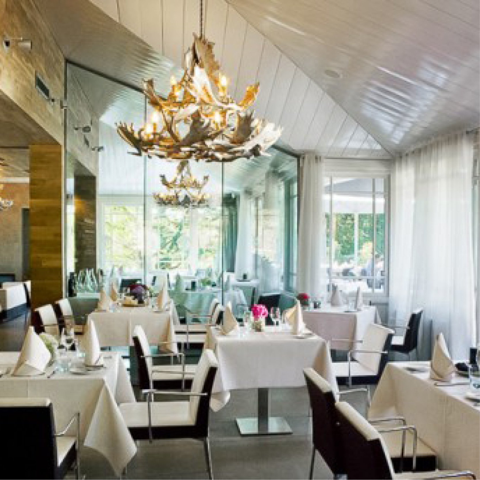 Astrazeneca Vierkant3.jpg