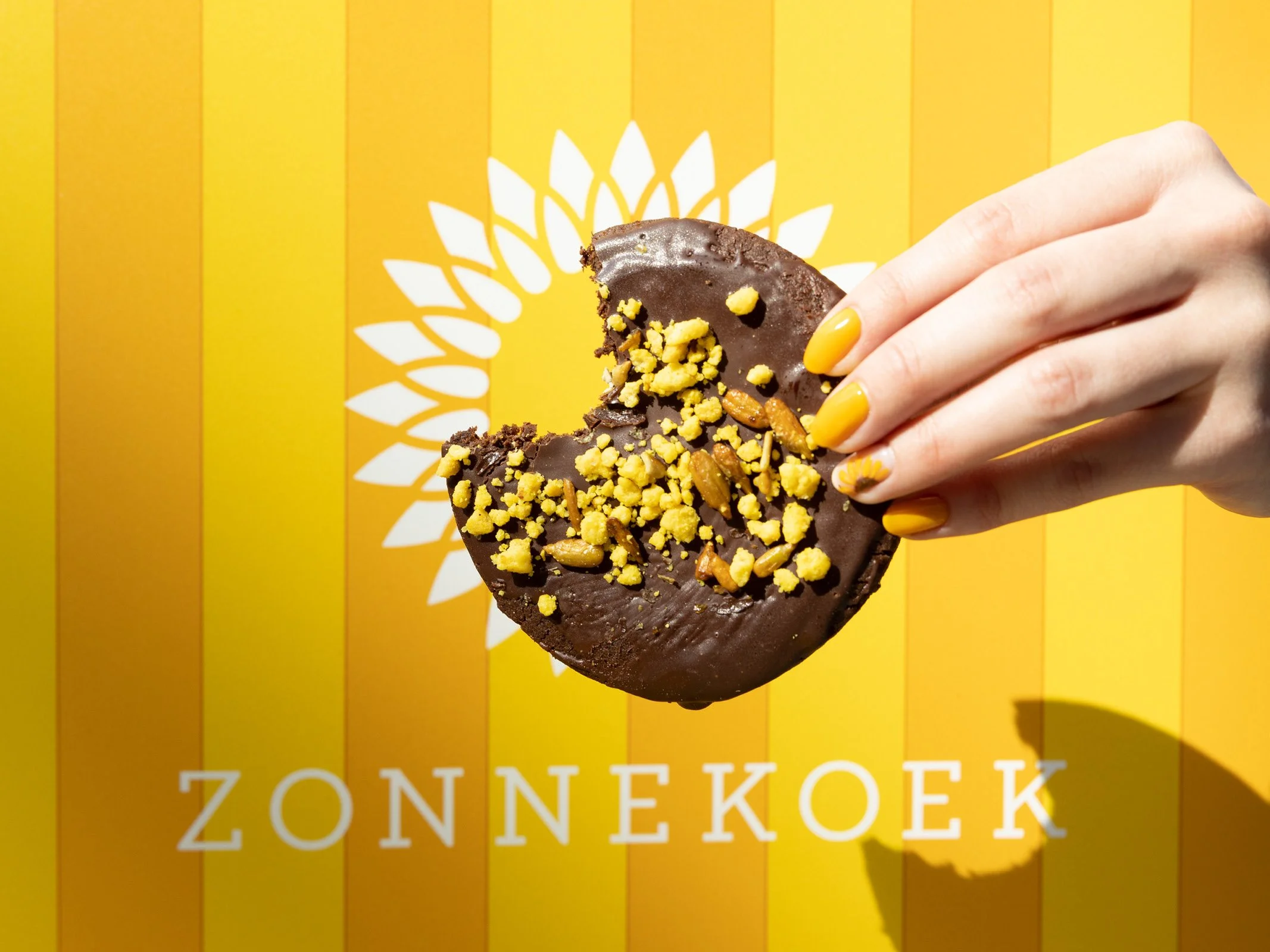 Zonnekoek_vanGogh_liggend10.jpg