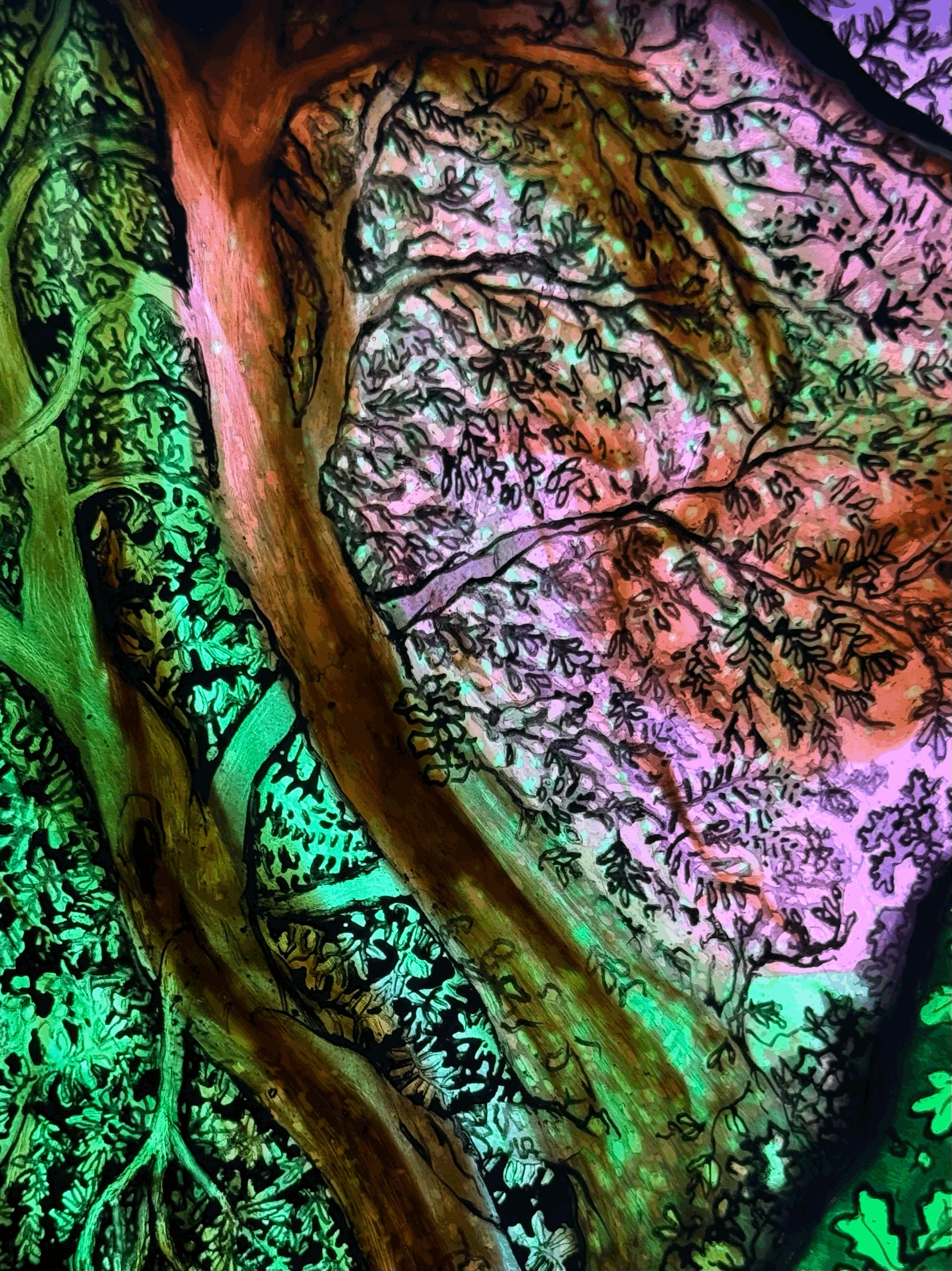 tempImageYqog1w.gif