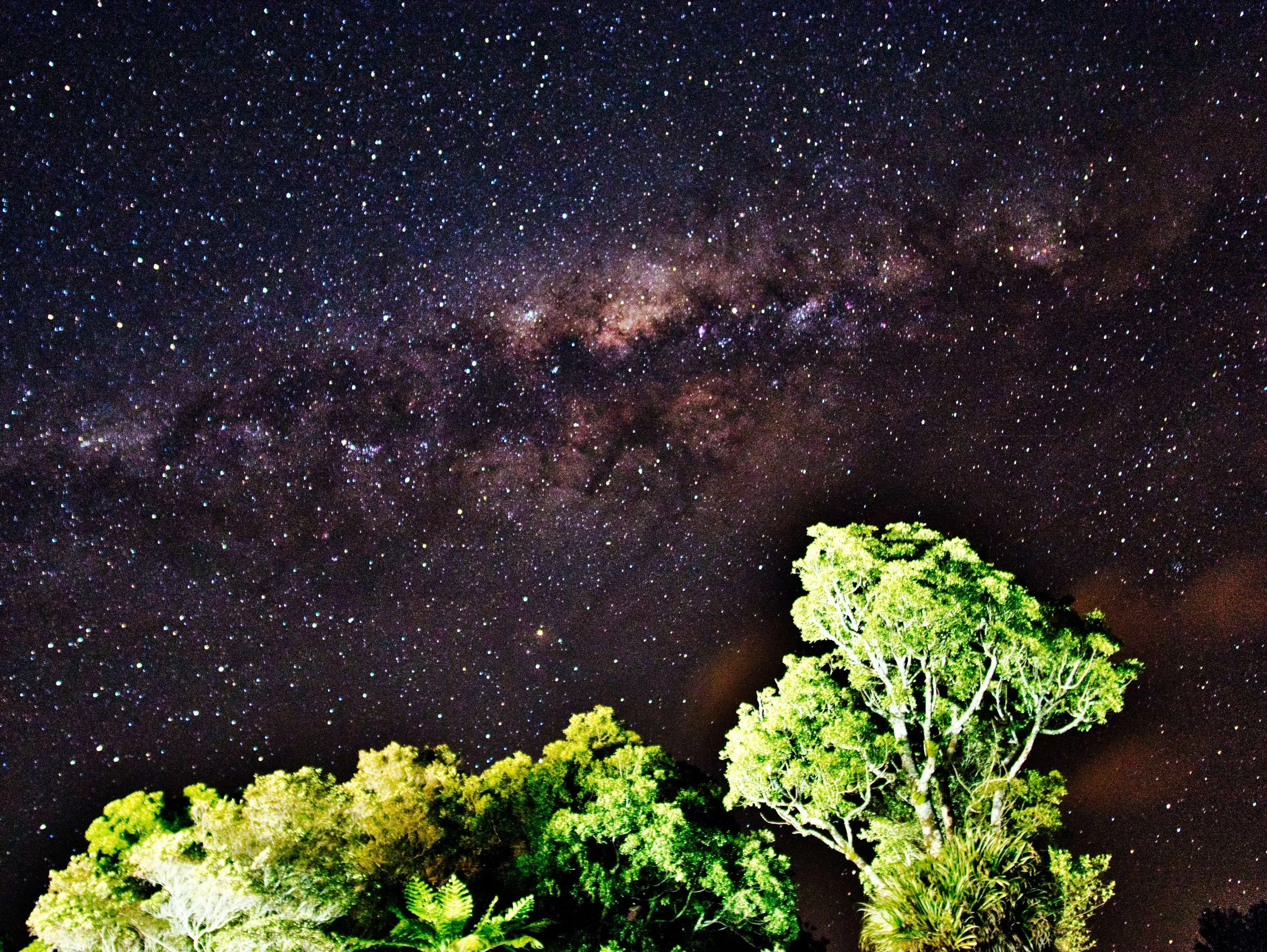 Aongatete_nightsky3.jpg