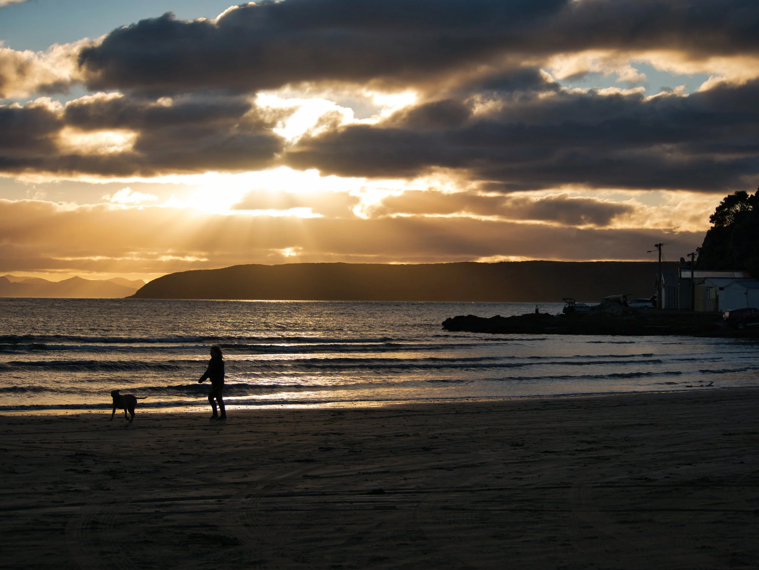 Porirua sunset dog.jpg