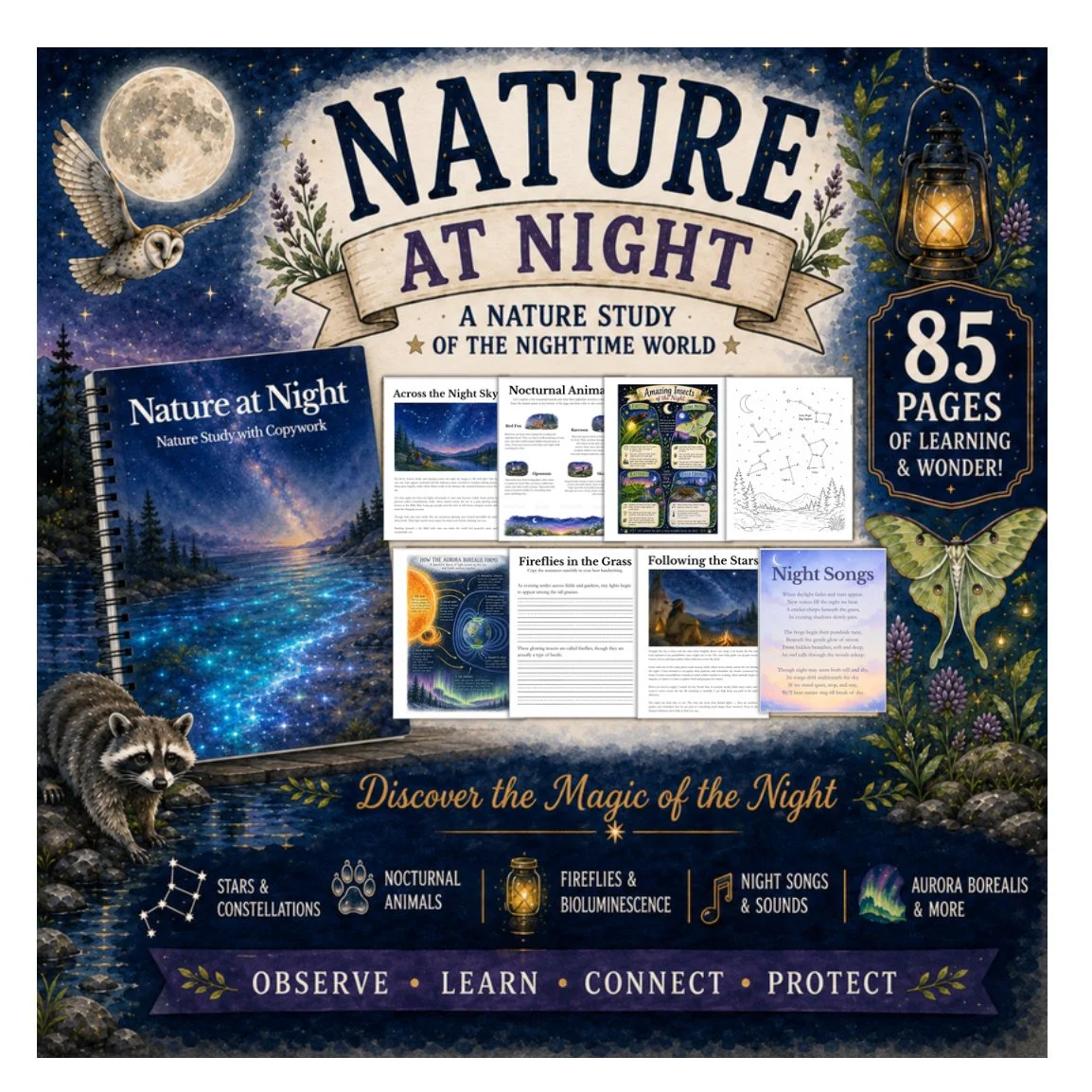 Nature at Night Nature Study Workbook for Children | Copywork, Activities, PDF