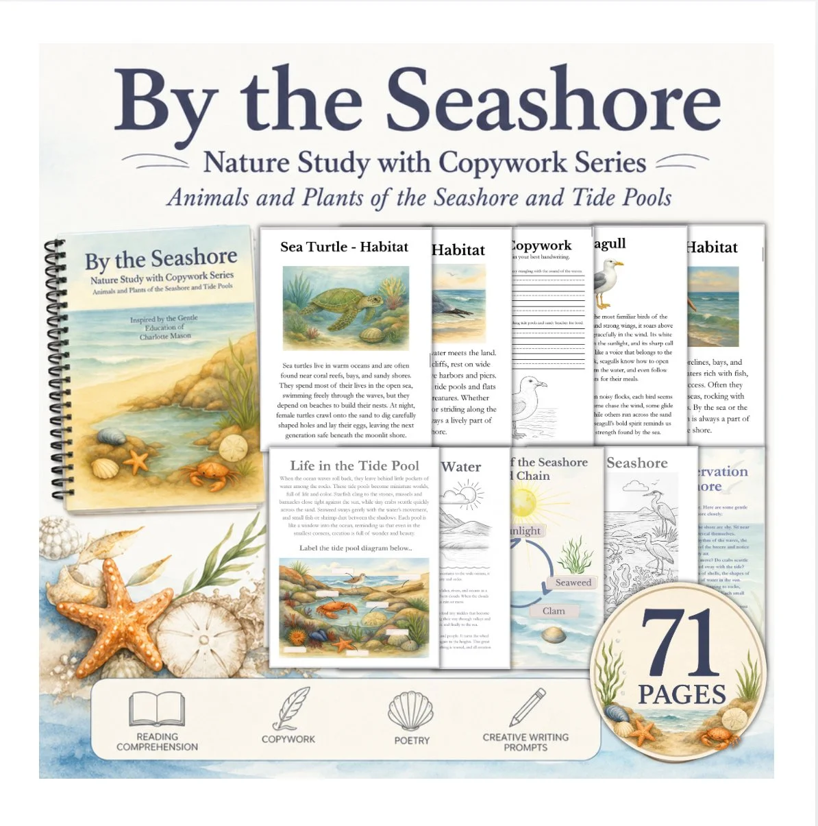 By the Seashore Nature Study with Copywork | Digital Download PDF