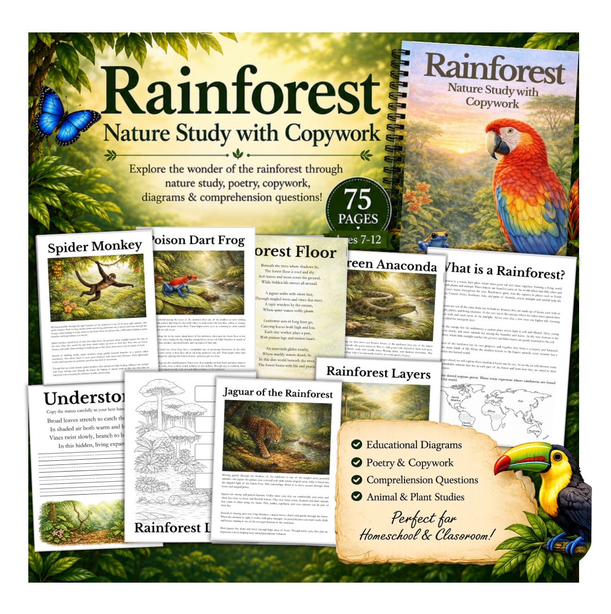 Rainforest Nature Study Workbook for Children | Copywork, Activities, PDF