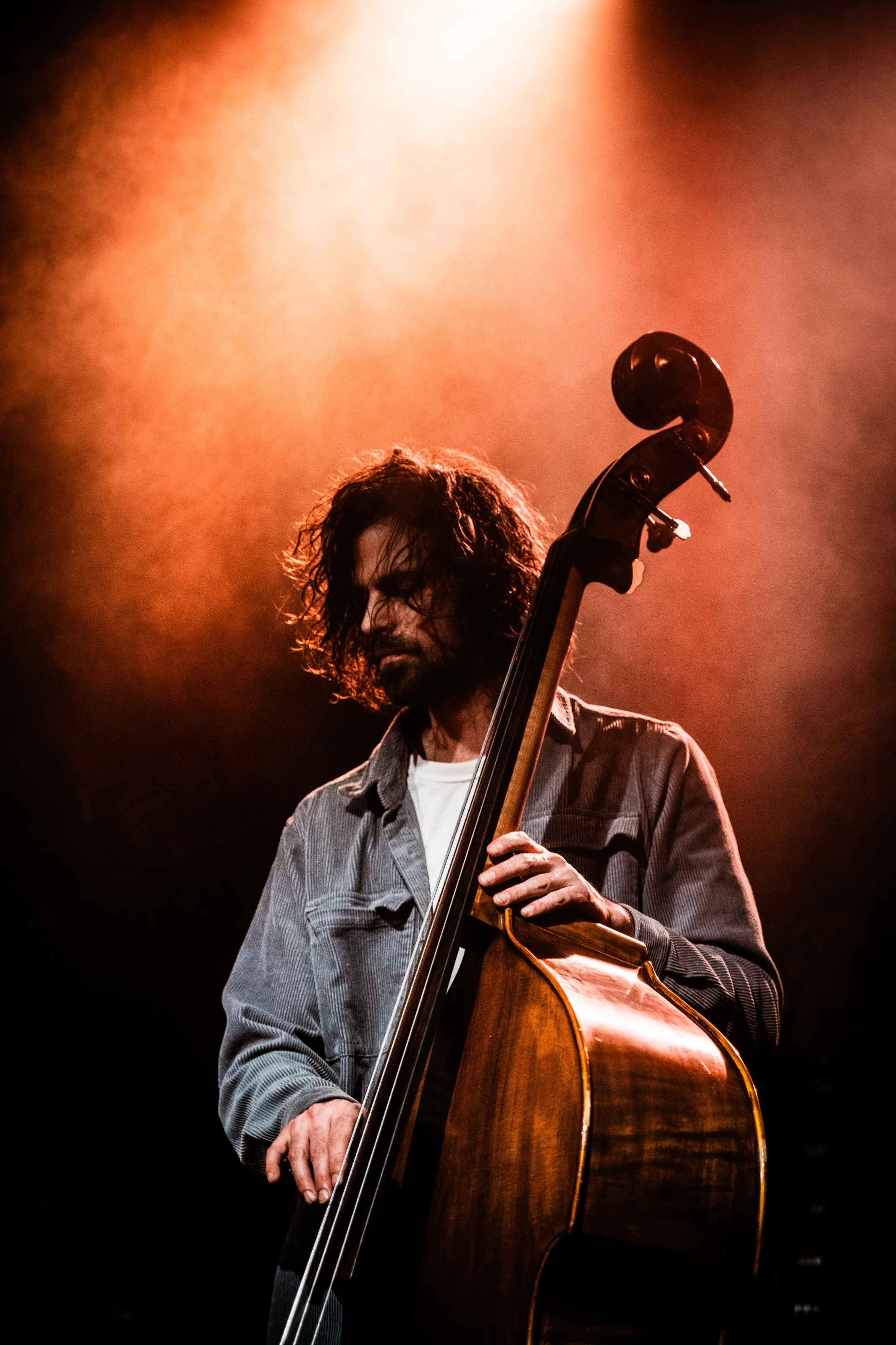 © Davy De Pauw
bvba Vandamme