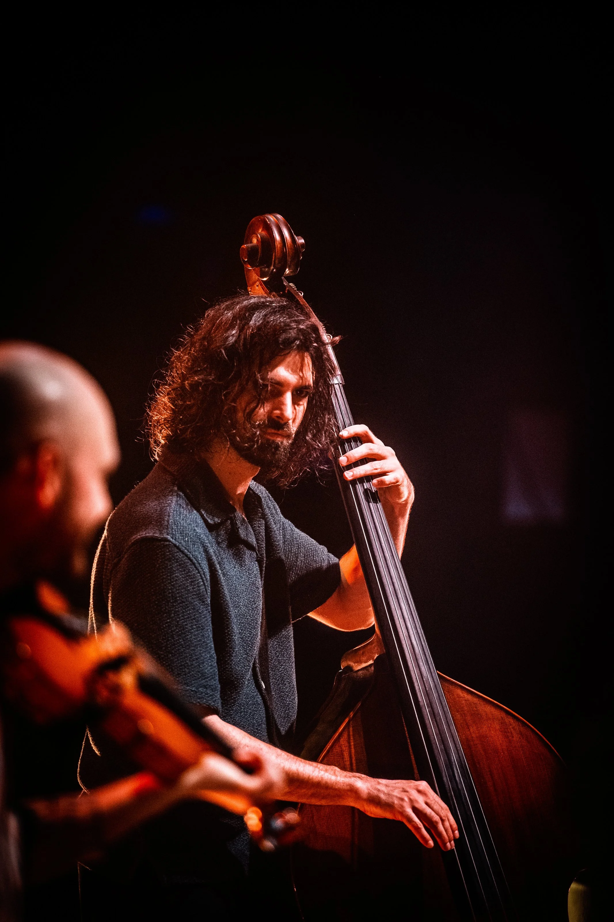 © Davy De Pauw
bvba Vandamme
