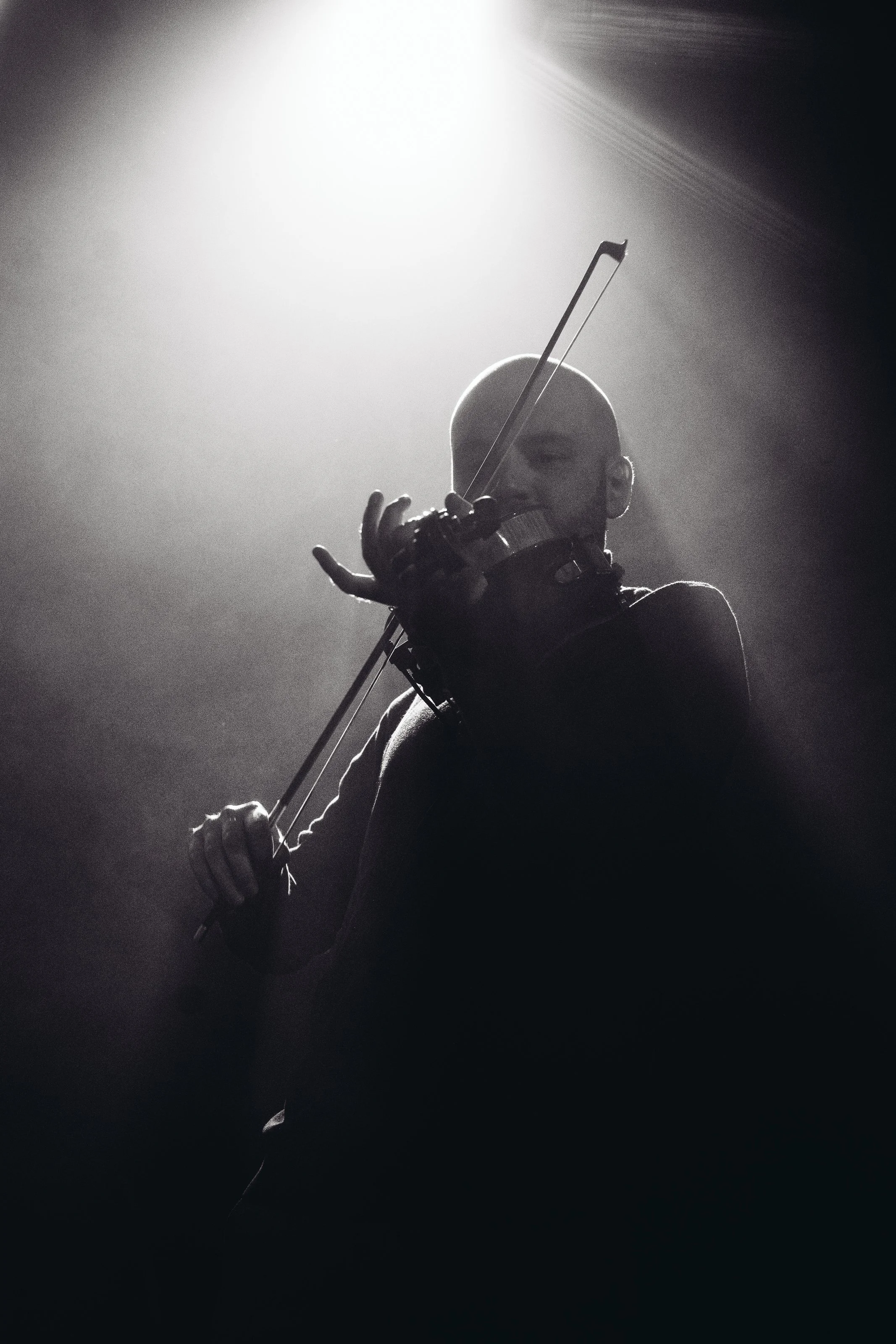© Davy De Pauw
bvba Vandamme
