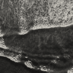 Suggested Contribution