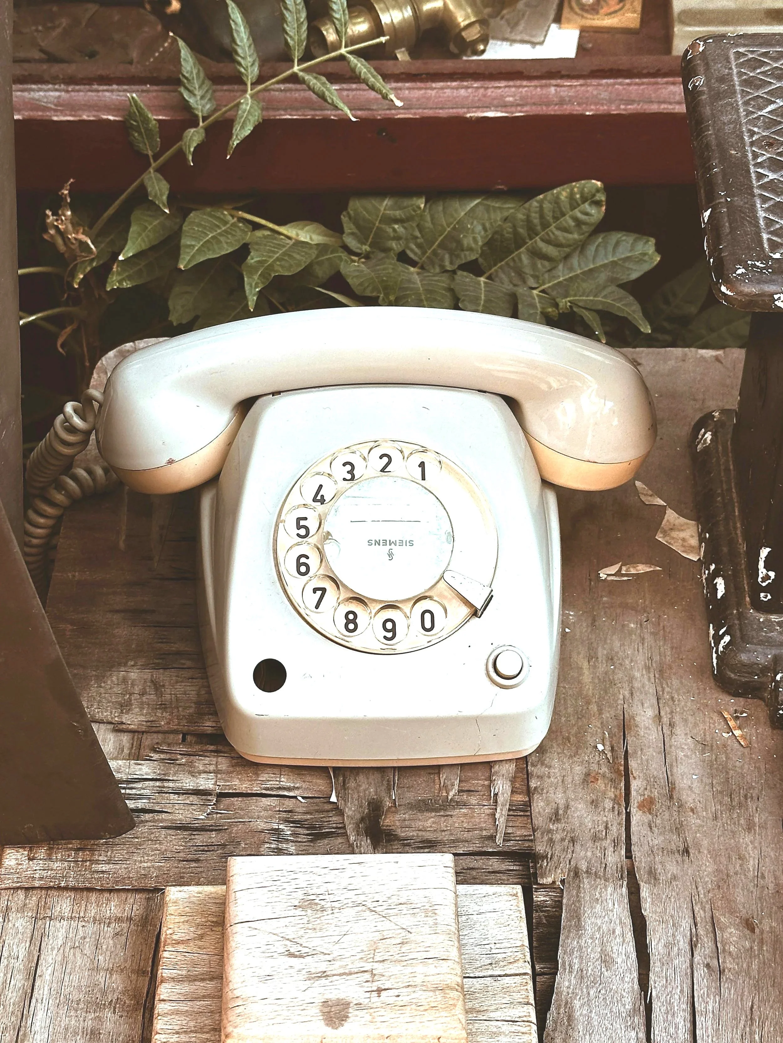Téléphone fixe vintage blanc sur une surface en bois, avec des feuilles vertes en arrière-plan.