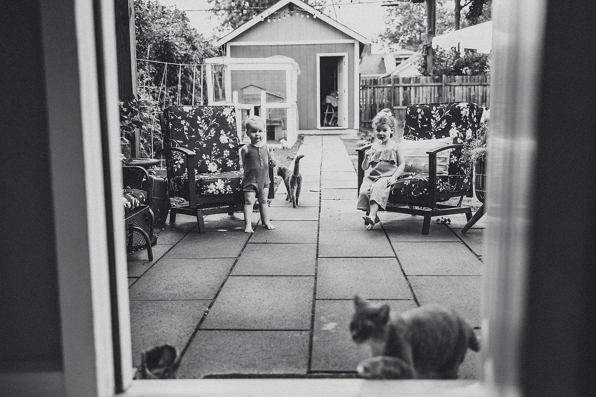 A black and white photograph featuring a cat and dog in a backyard, taken during a photography session in Indianapolis, Indiana