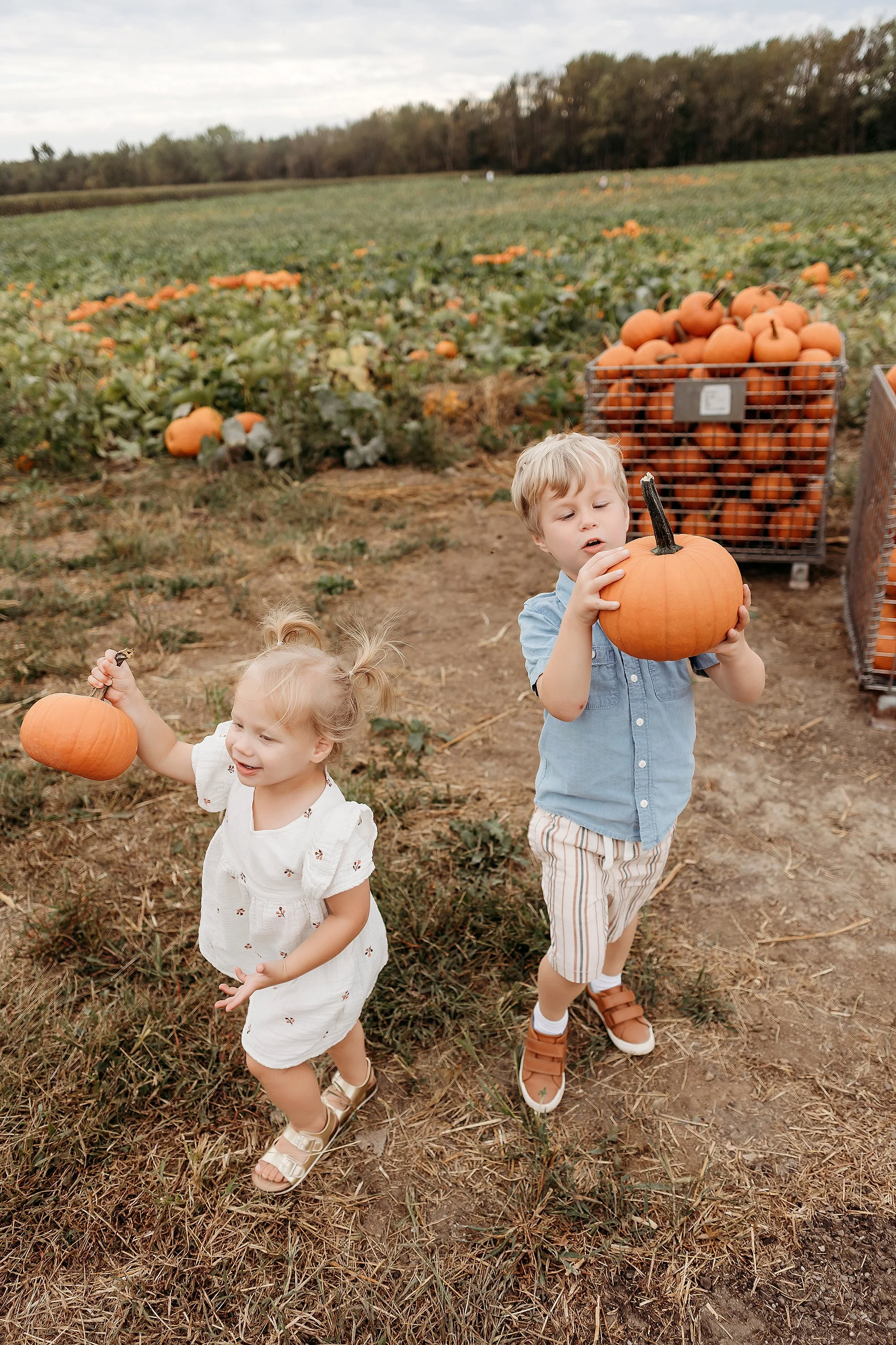 Two kids in a field, each holding a pumpkin, captured during a Mini Session celebrating the fall season