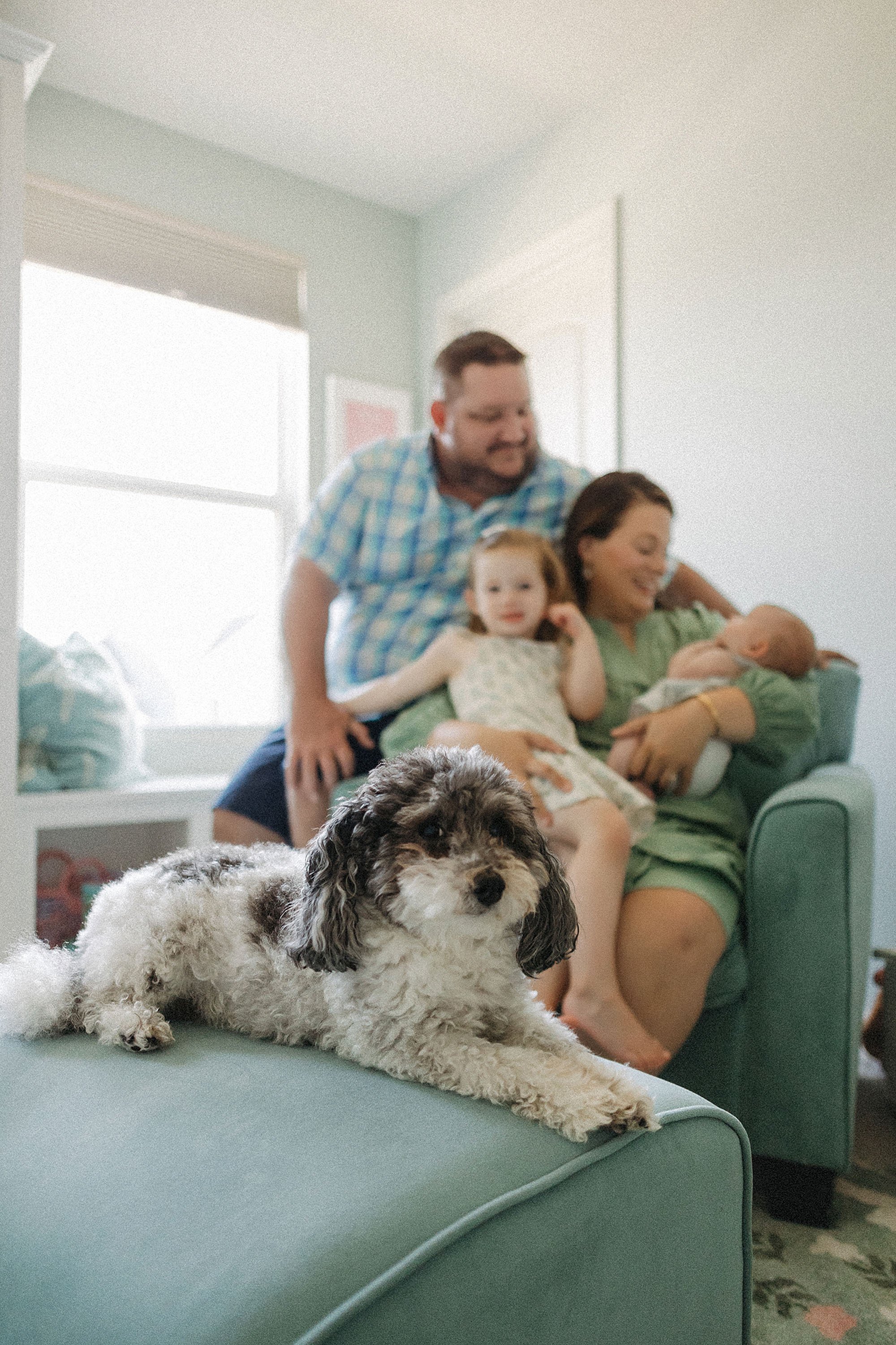  family dog resting during newborn lifestyle photography session at home 