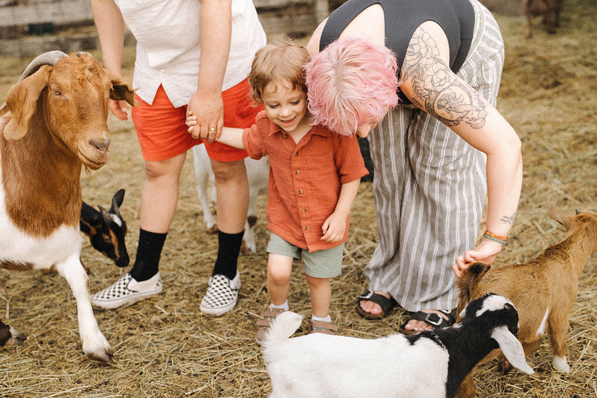 Goats, Chickens &amp; Family Photos at Heavenly Acres Farm