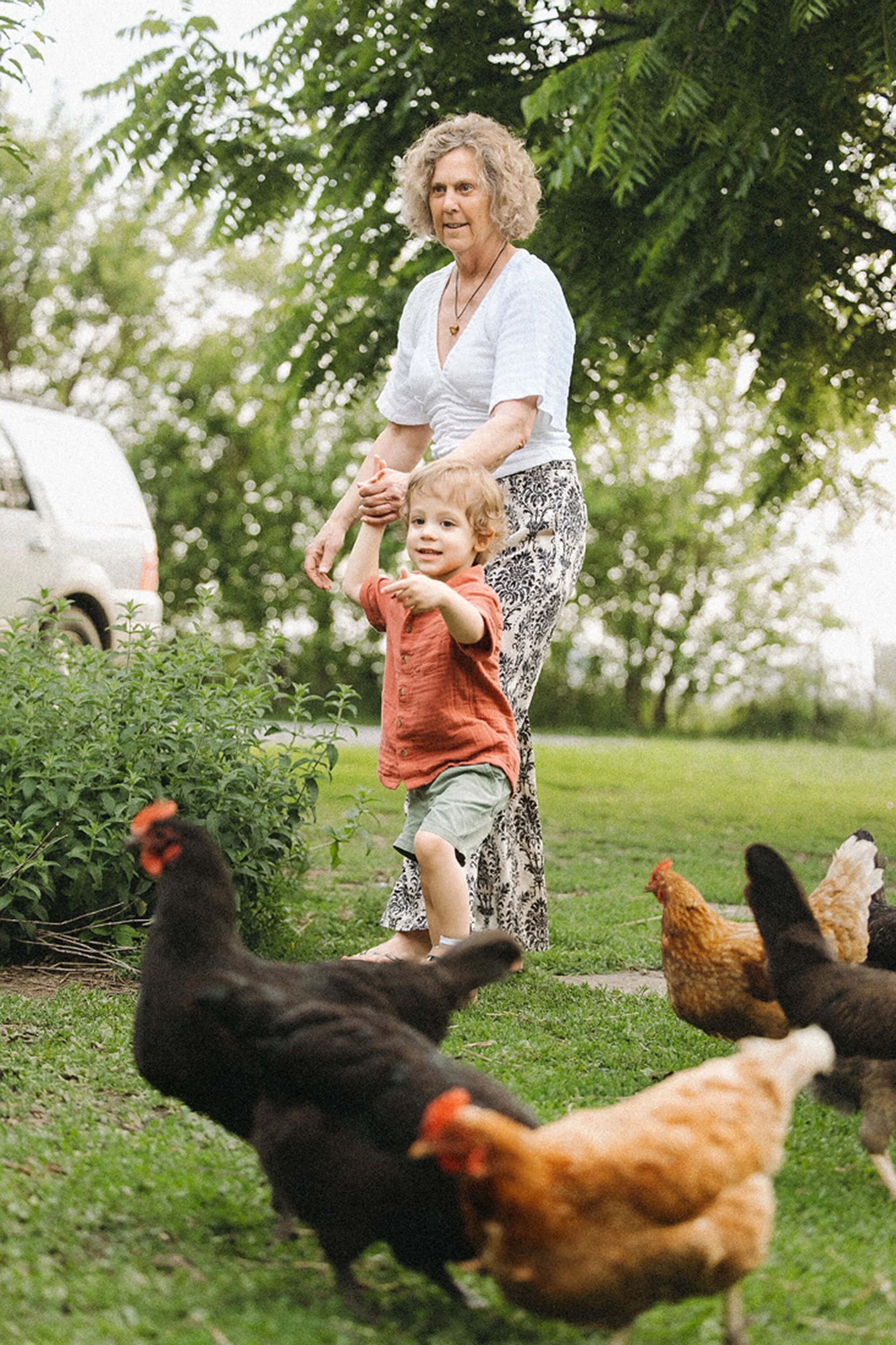 An elderly woman and a young boy walk together in a field, with chickens roaming freely around them at Heavenly Acres Farm