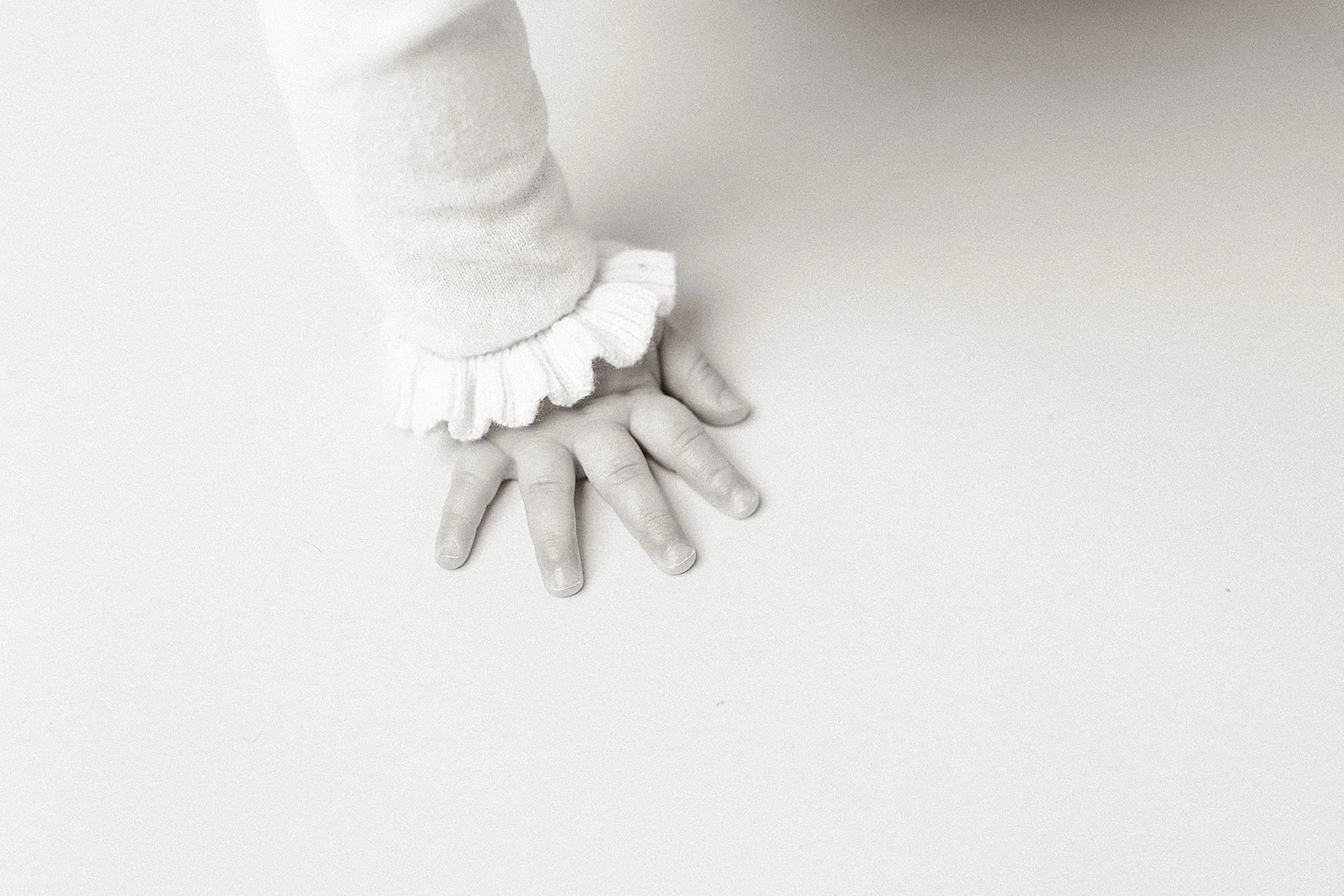 A child’s hand on a white background, capturing a detail from a first birthday milestone session