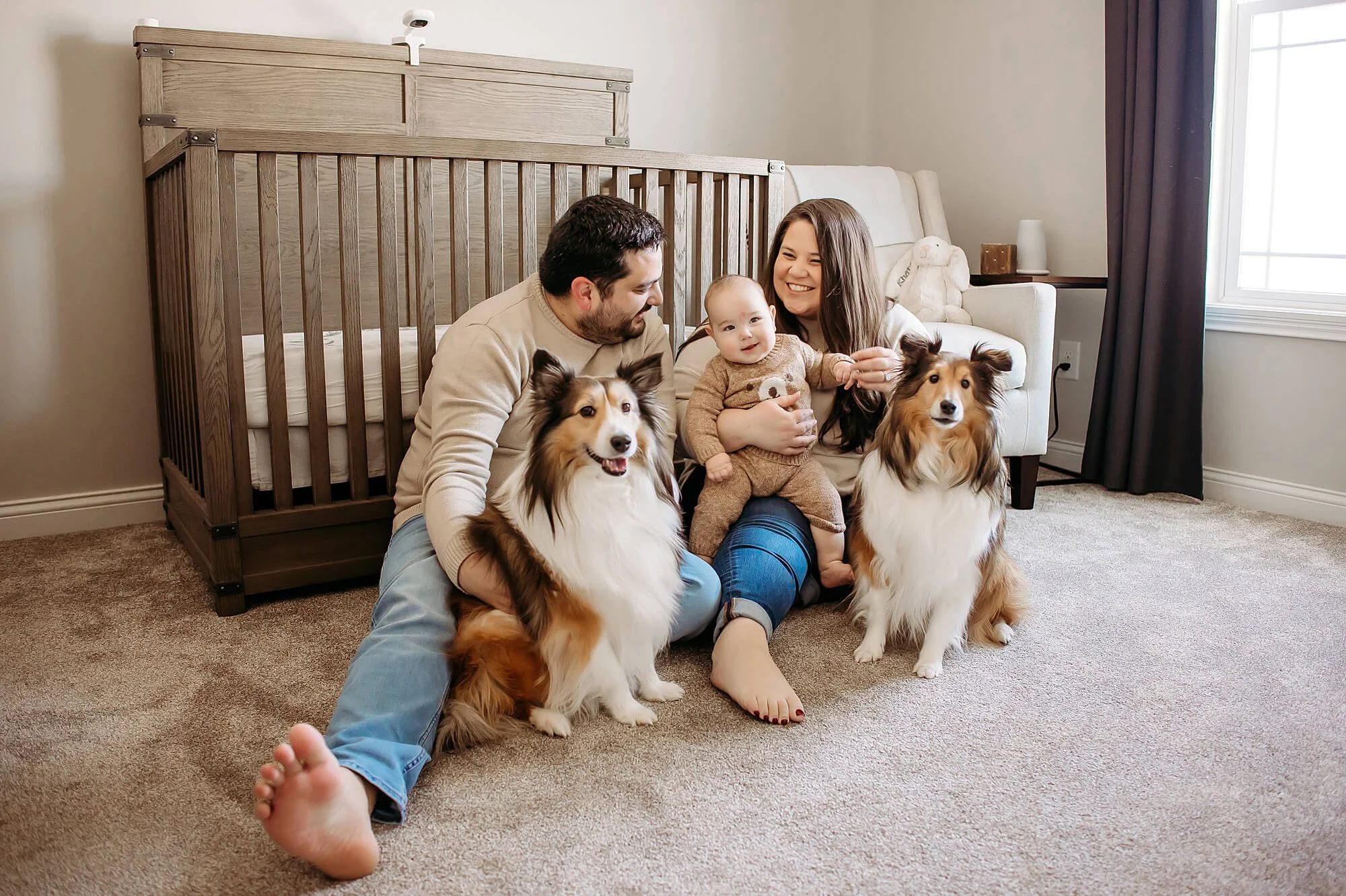 family and shelties sit on nursery floor during milestone photoshoot at home