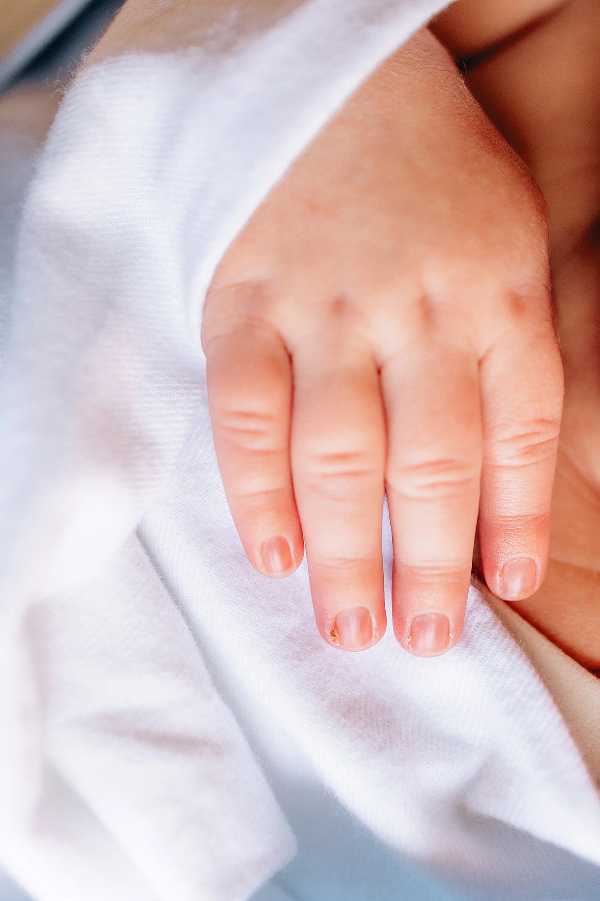 newborn-family-photos-at-home-carmel the heart narrative