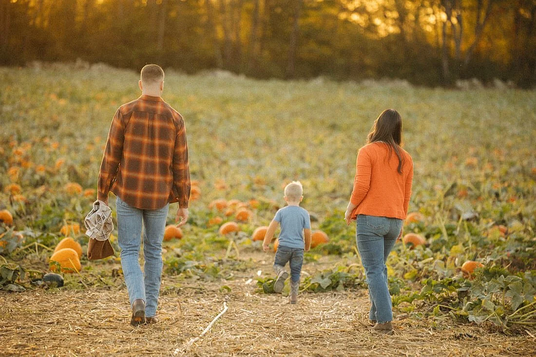 Parents follow their young son along a pumpkin field path glowing in golden evening light during autumn at Dull’s Pumpkin Harvest.