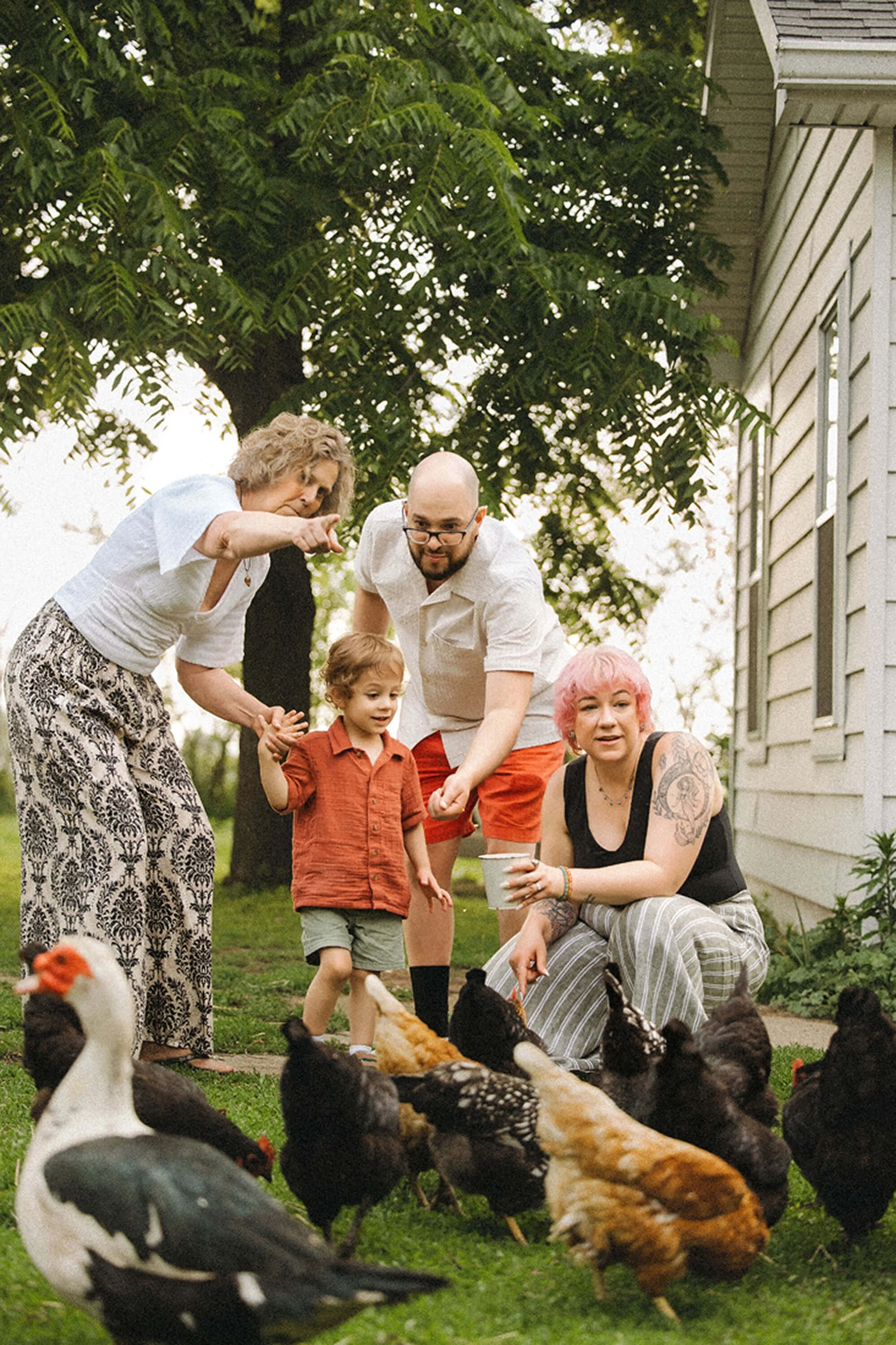 A child and family interacting with chickens at Heavenly Acres Farm, showcasing a warm, engaging farm experience