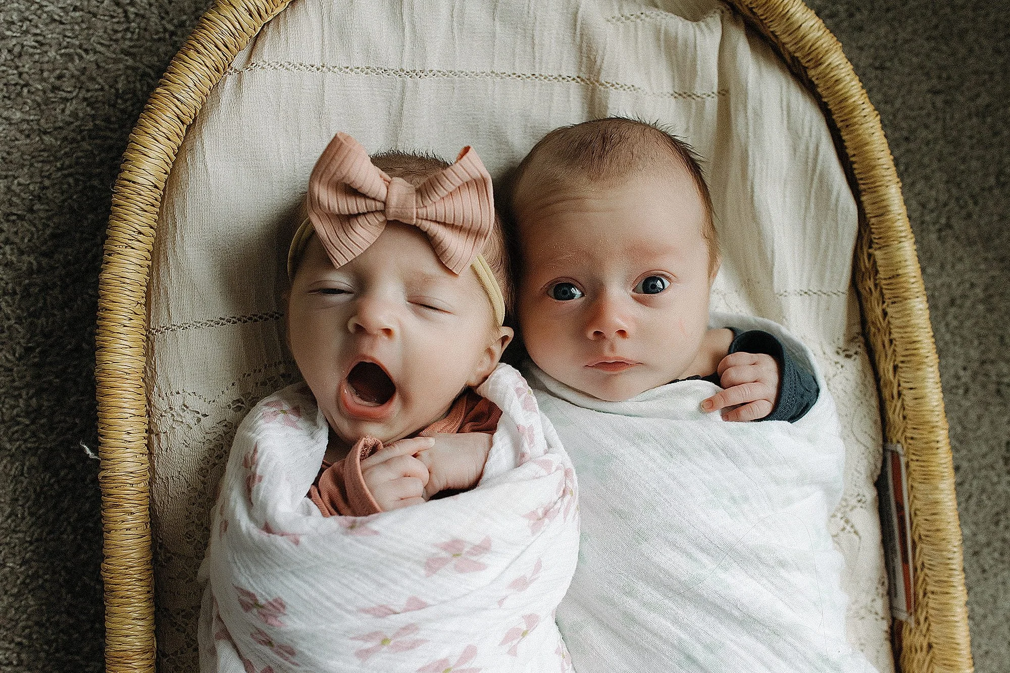 infant twins lay in moses basket while looking at camera during newborn photoshoot in indianapolis with twin babies.