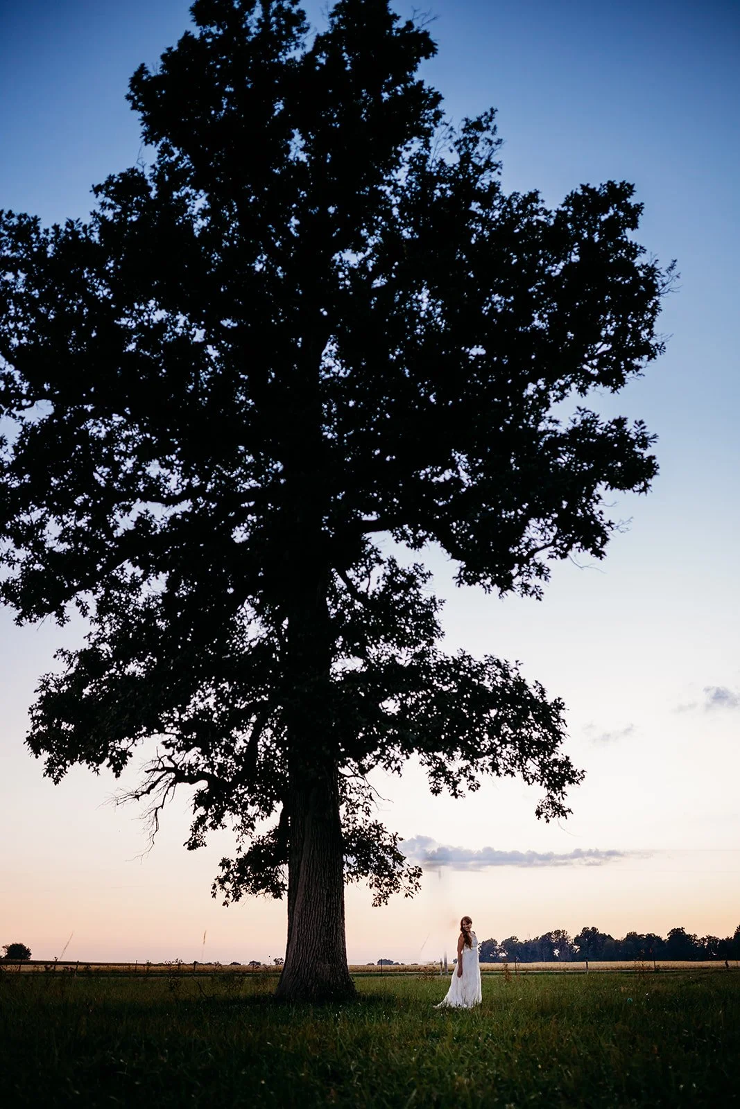 Bridal photography Indianapolis with bride standing under large tree at sunset field