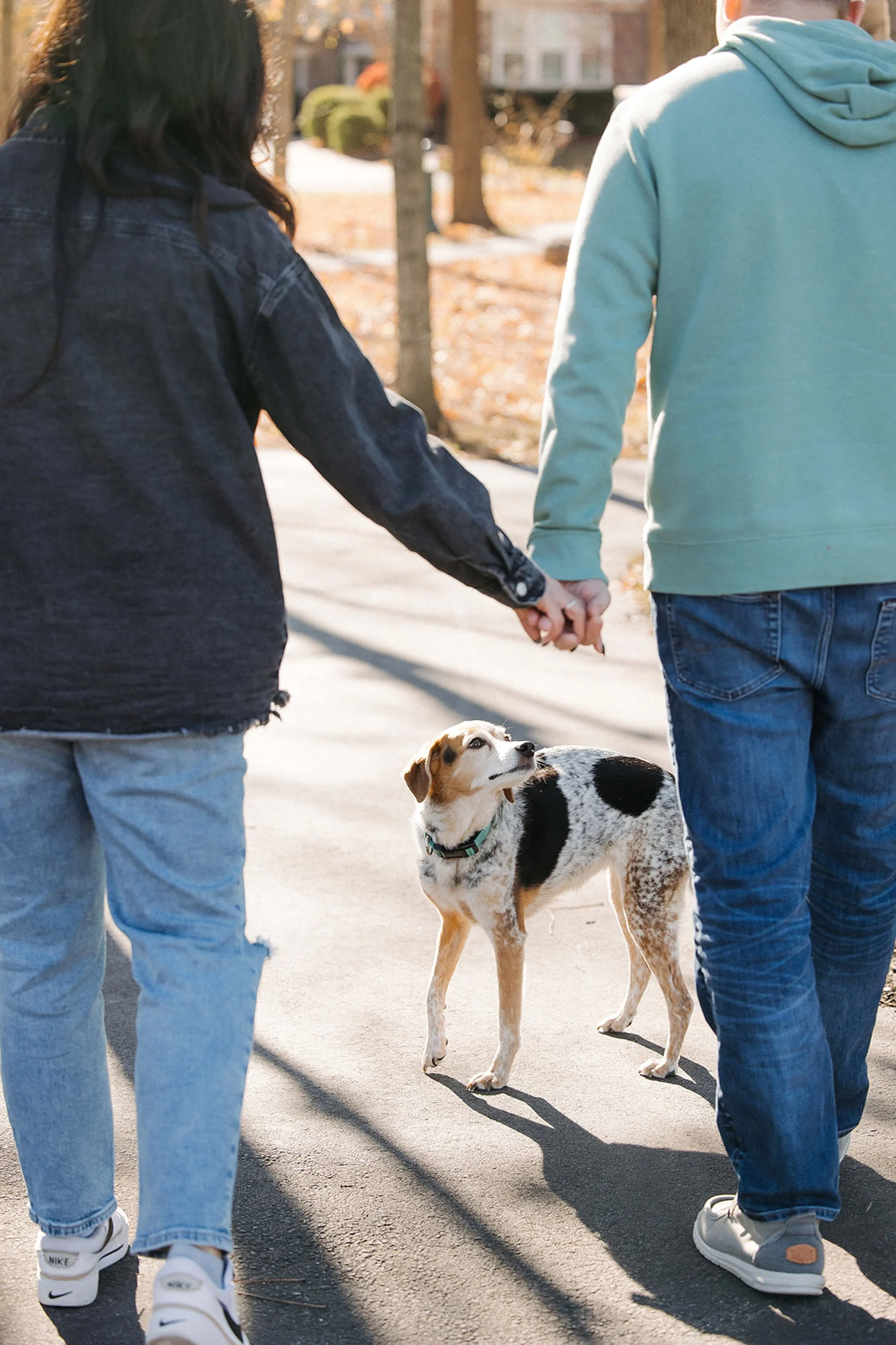 Say Goodbye with dignity- End of life pet photography in Fishers- The Heart Narrative-5.jpg