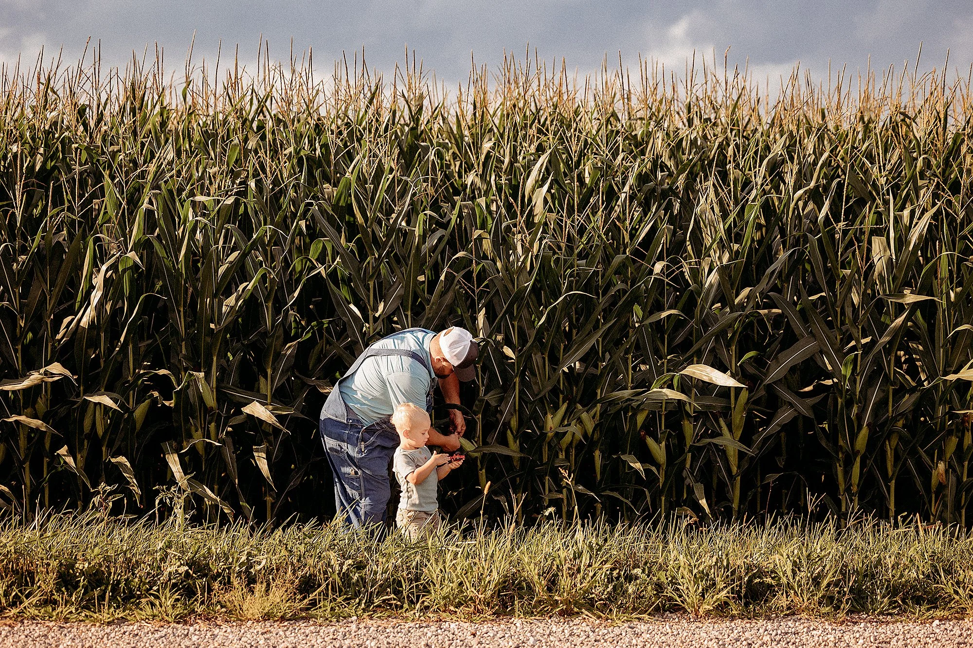 Natural family portrait of a father and child walking through a cornfield, showcasing creative family photo session ideas