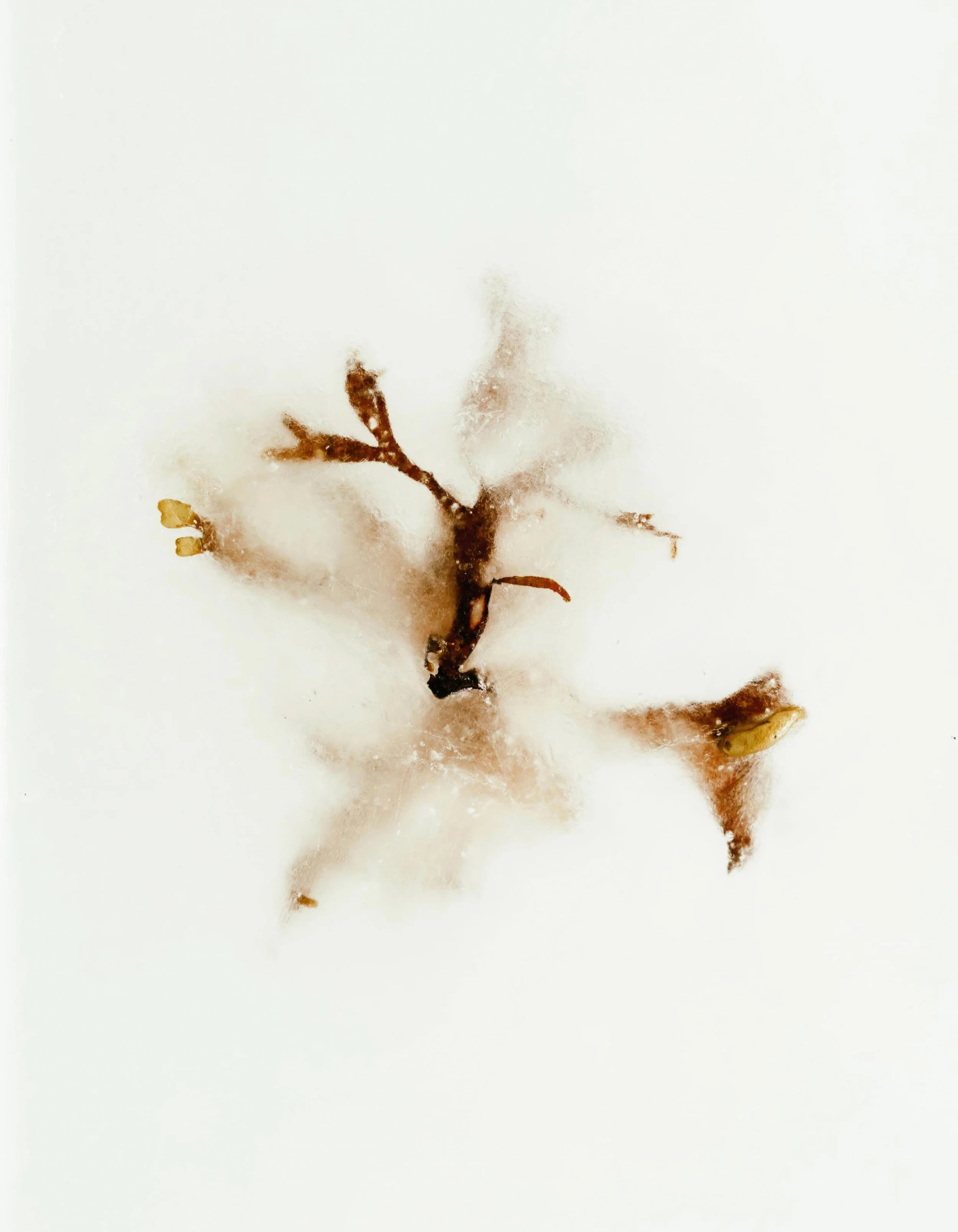 First Breath  