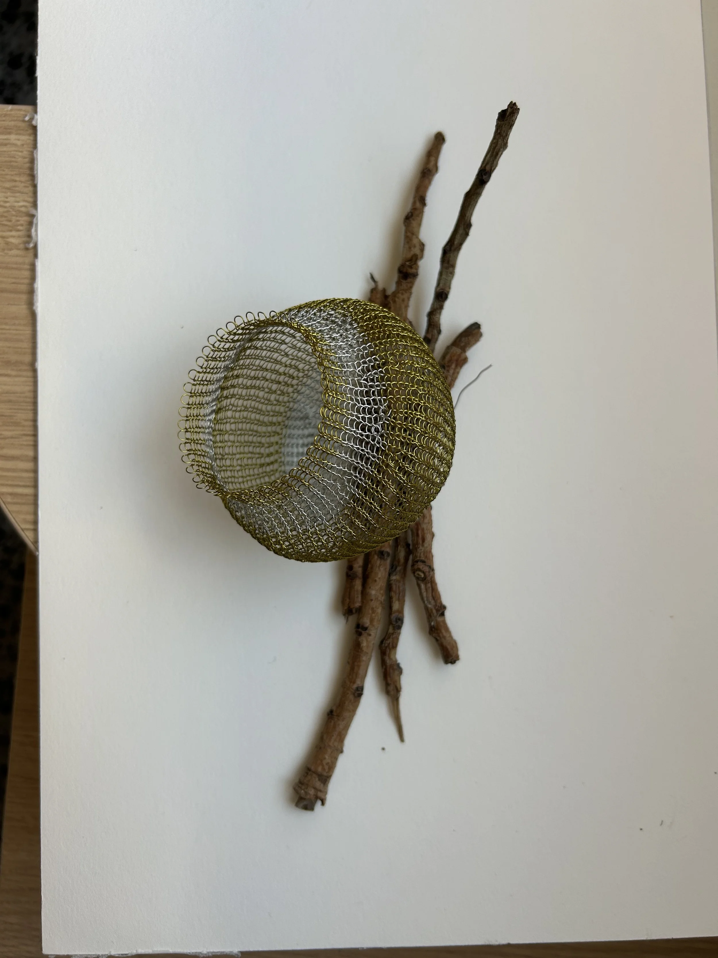 IMG_1864.jpeg