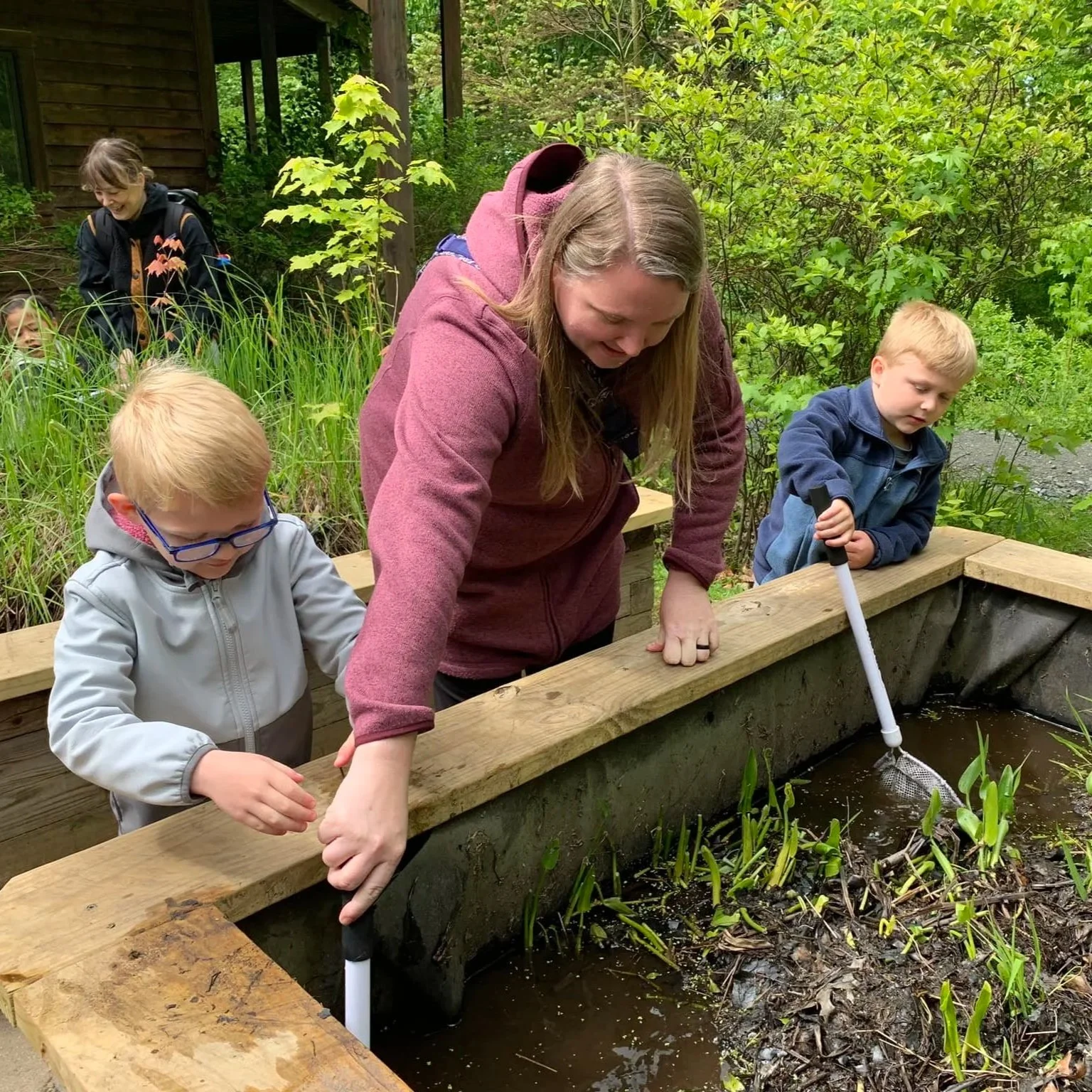 A woman and two young boys are exploring a pond with nets in a wooden outdoor garden or nature area.