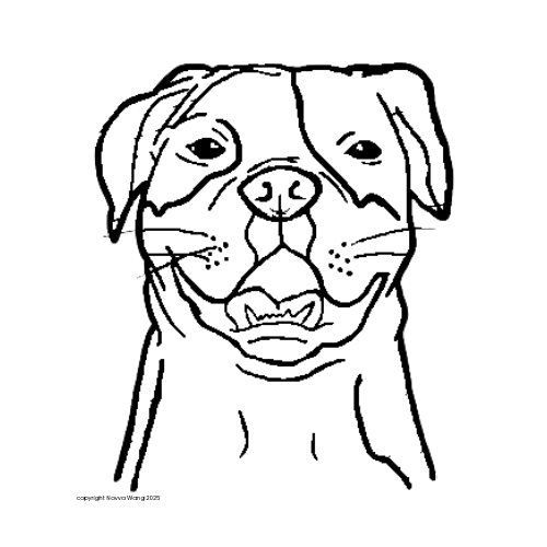 Rudy the Boxer hand-drawn
portrait on Clean Eye Wipes for Pets
packaging