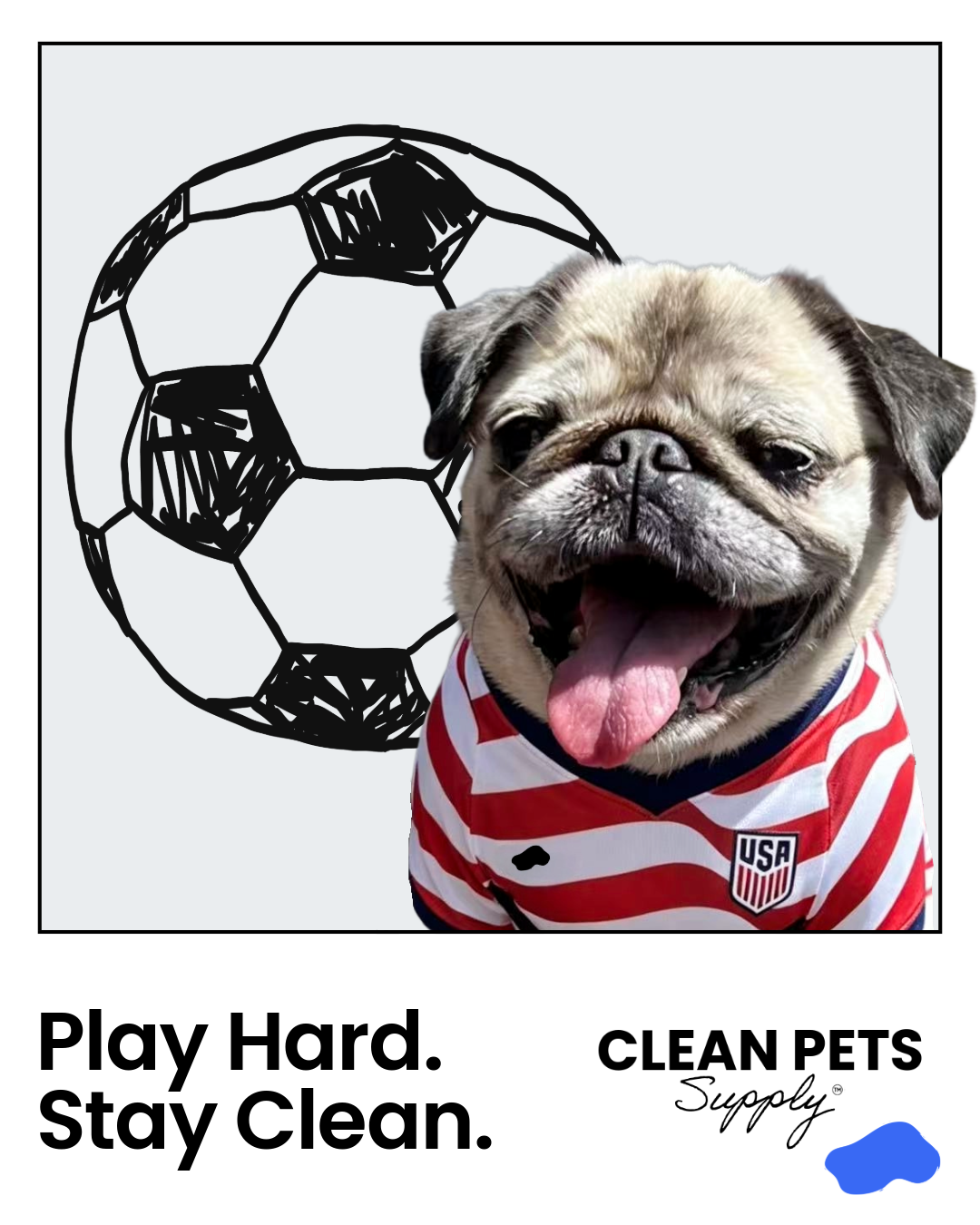 play hard stay clean. Frida with USA soccer jersey