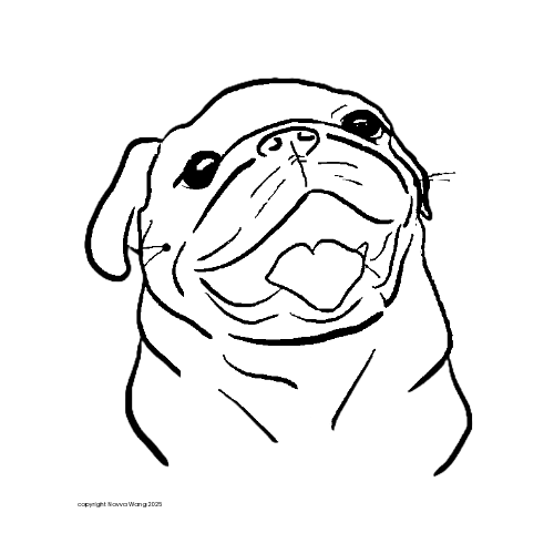 Frida the Pug hand-drawn
portrait on Clean Wipes for Pets
packaging