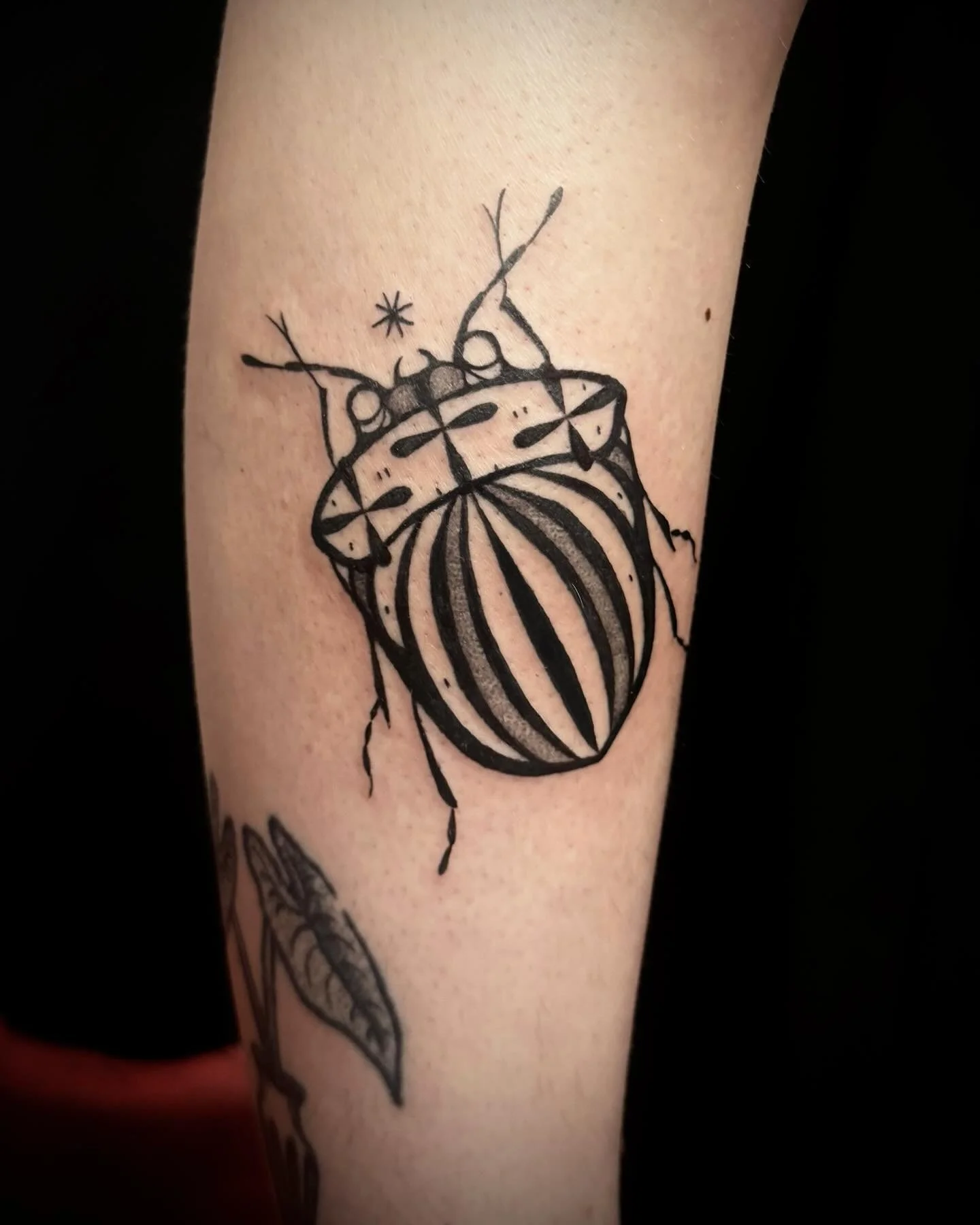 Thanks a lot for this one Zo&euml;! It was great having you over! Hope you had a nice trip back to Utrecht and a lovely Christmas dinner✨

With love,
Lau❤️