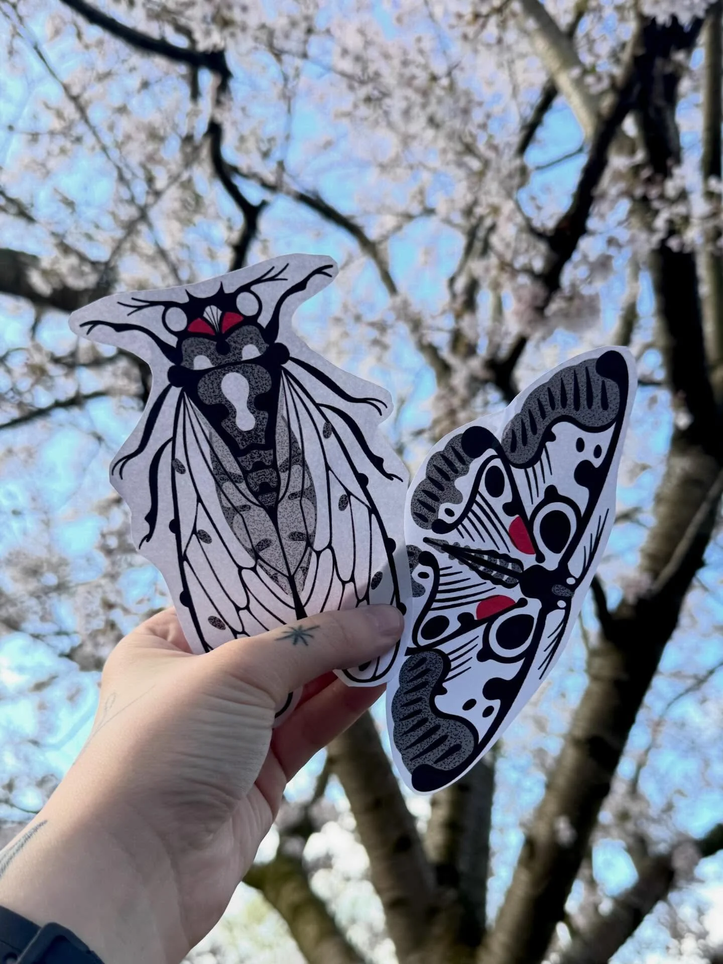 Some insects I&rsquo;d love to do in front of the cherry blossom outside my window. Honestly this tree gets me through the last cold days of the year with its beauty💕🌸🌷 you hear a loud buzzing sound of the bees when you stand below it. Cozy.