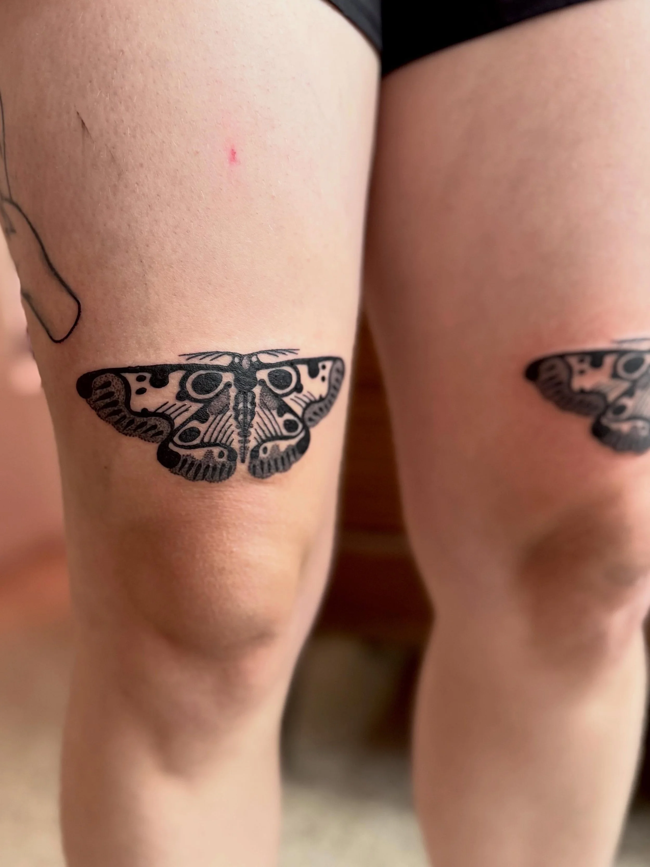 Absolutely adore doing moths above knees. They just feel so right there❤️🌷 Thanks for filling up a last minute spot Natalie!🪶🦋

With love,
Lau🌸💕