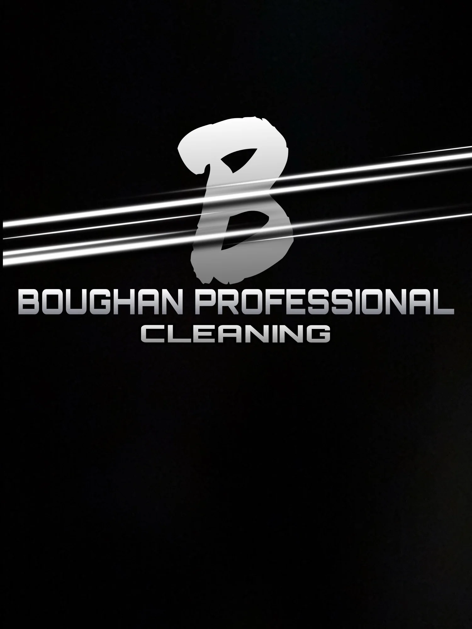 BOUGHAN PROFESSIONAL CLEANING LTD