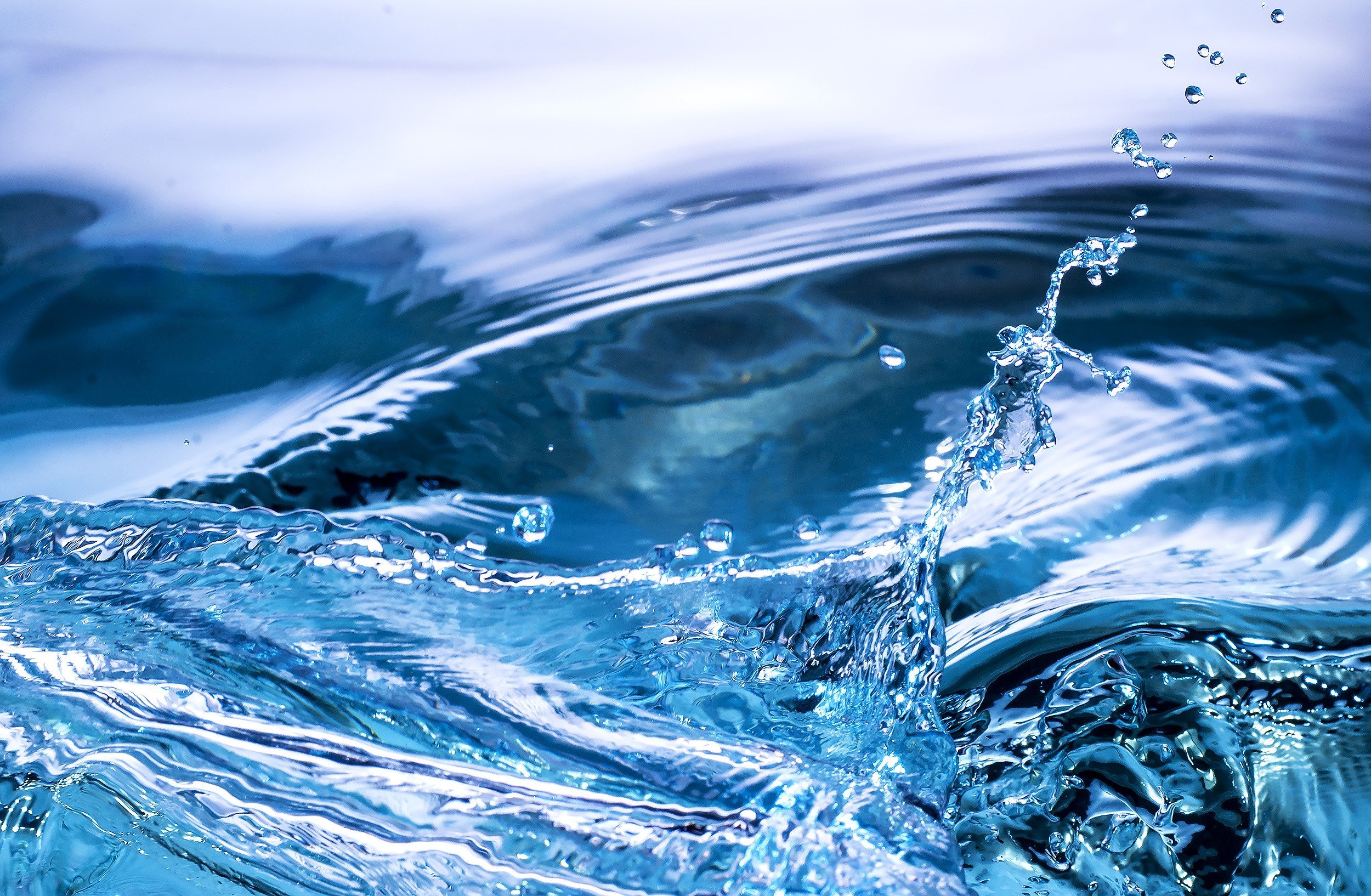 The science behind safe, dependable Water-based Pet Cremation