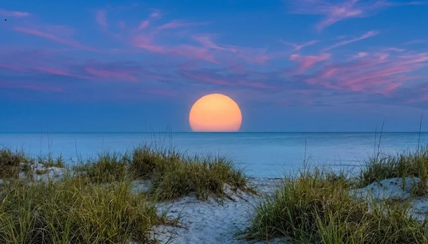 Image of a sun setting over the tranquil gulf waters to represent a scattering ceremony that is offered when selecting Comforting Currents Communal Pet Cremation service